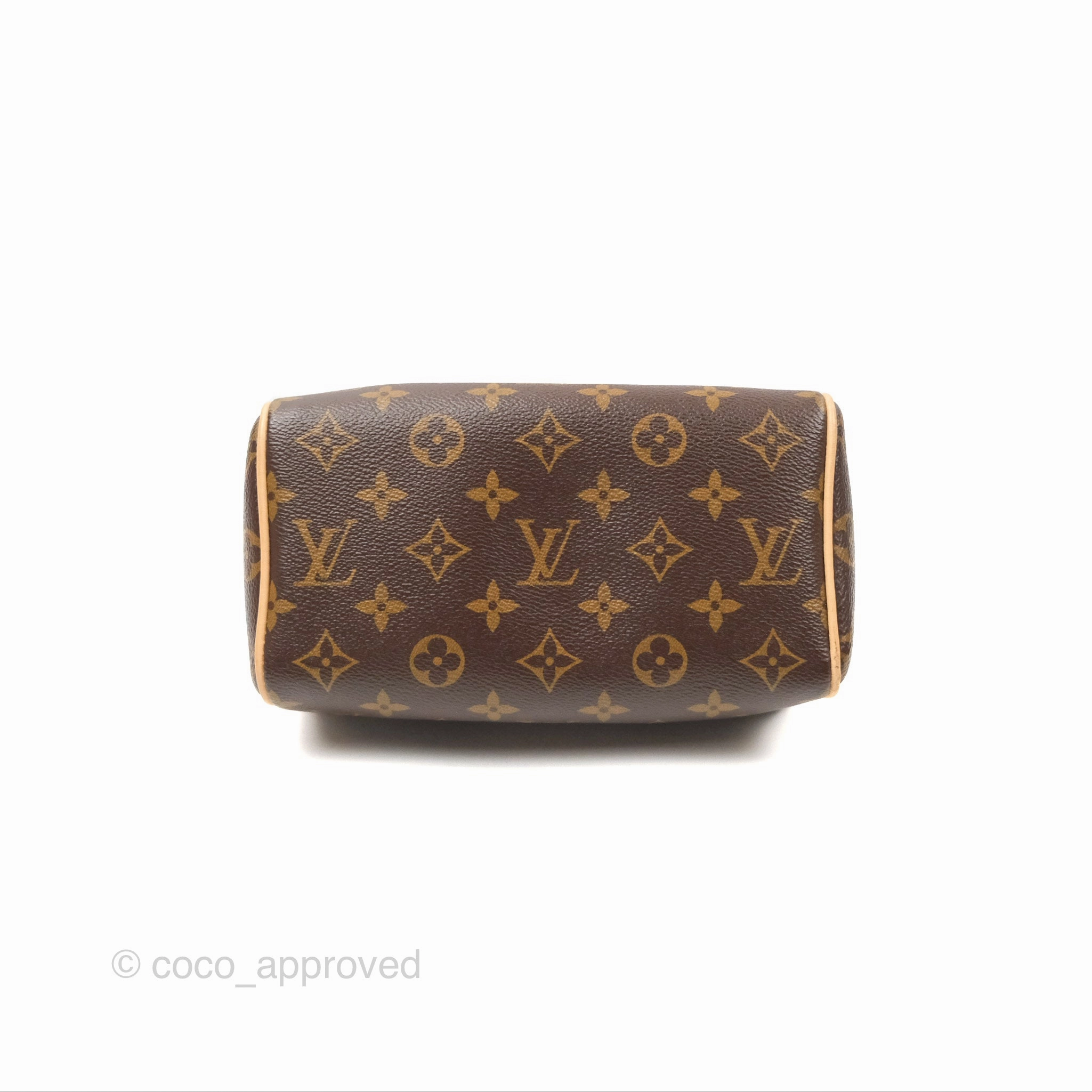 Louis Vuitton Speedy Bandoulire 20 Monogram