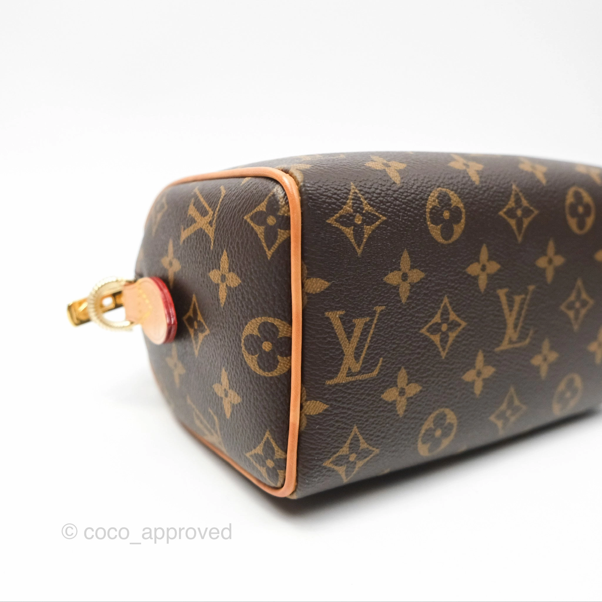 Louis Vuitton Speedy Bandoulire 20 Monogram