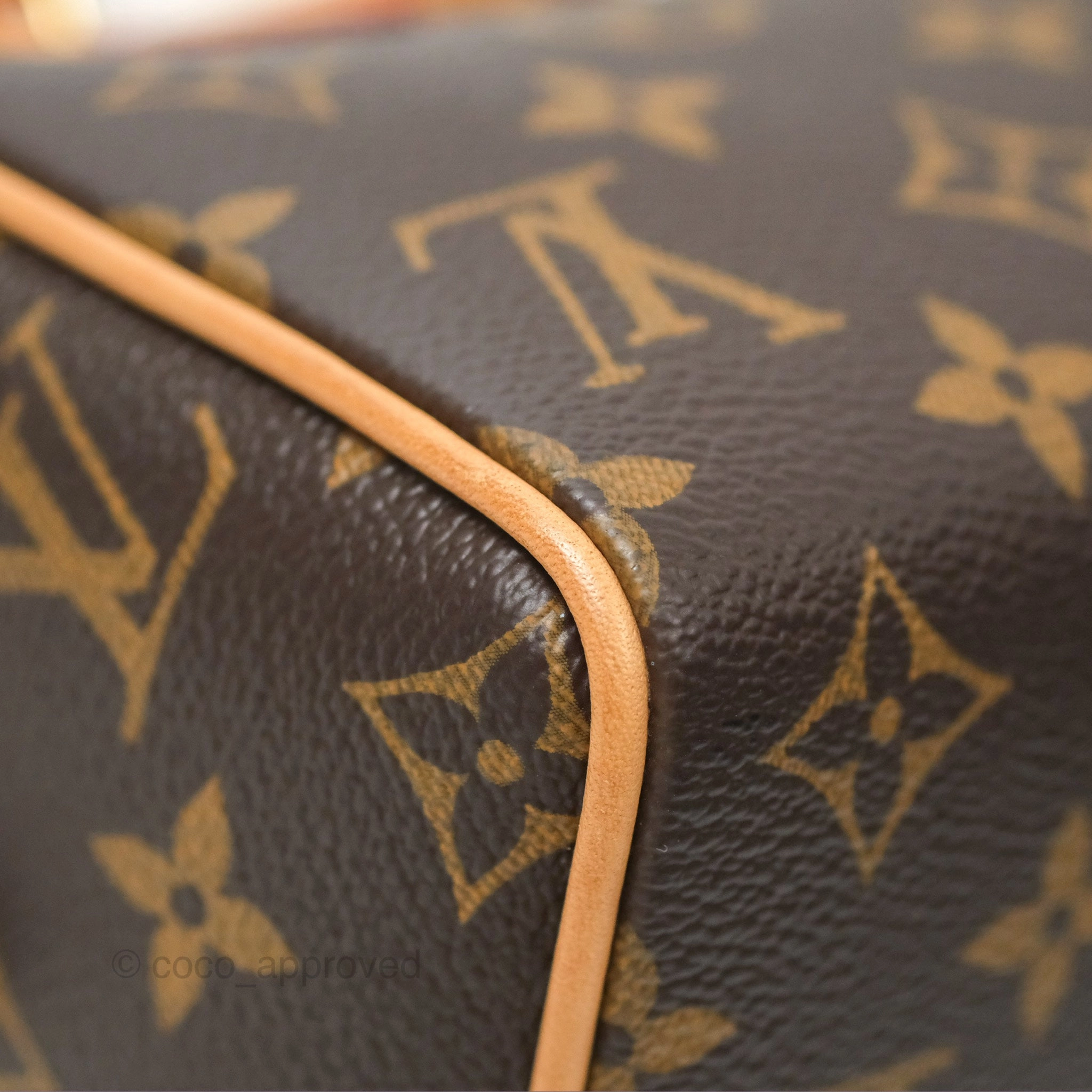 Louis Vuitton Speedy Bandoulire 20 Monogram