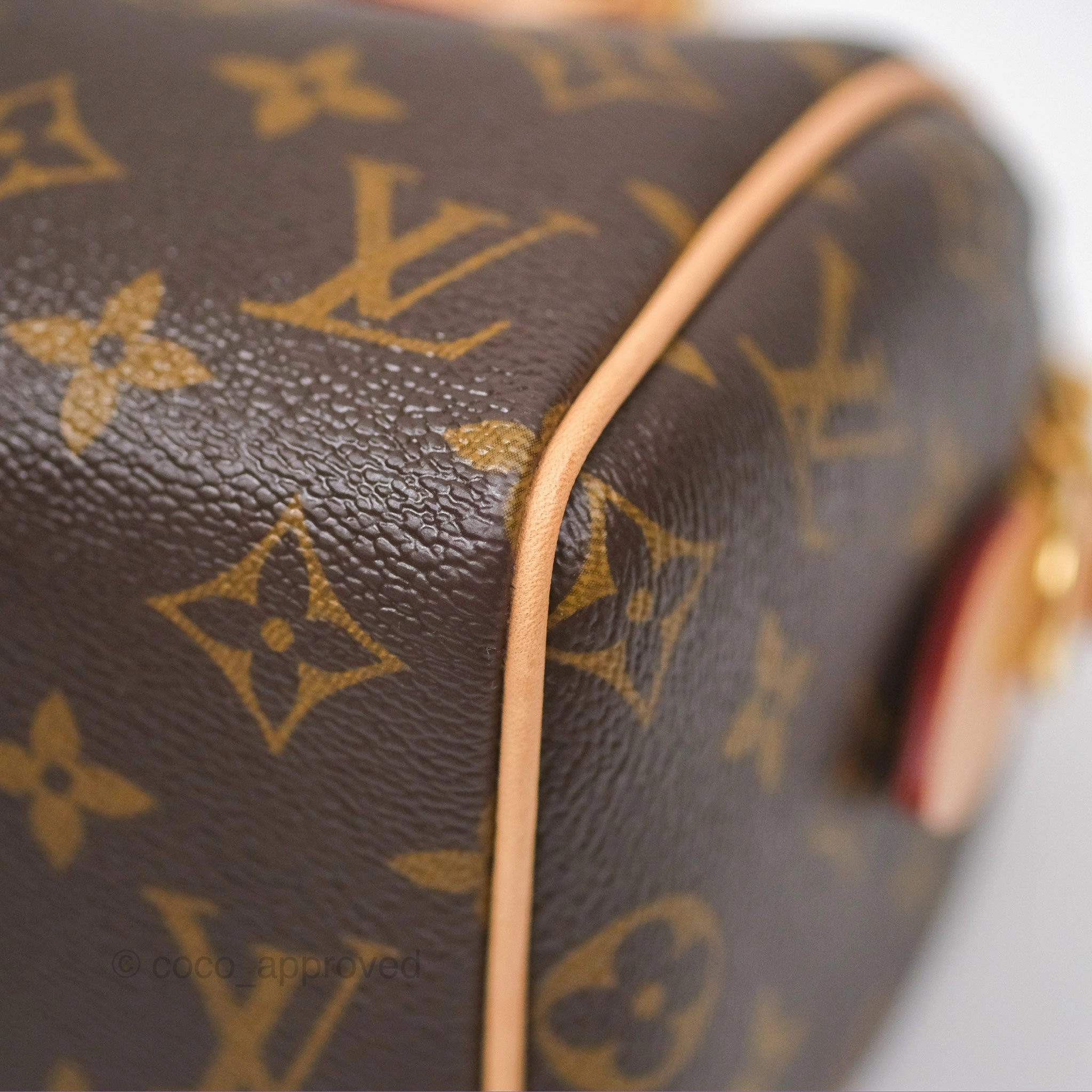 Louis Vuitton Speedy Bandoulire 20 Monogram