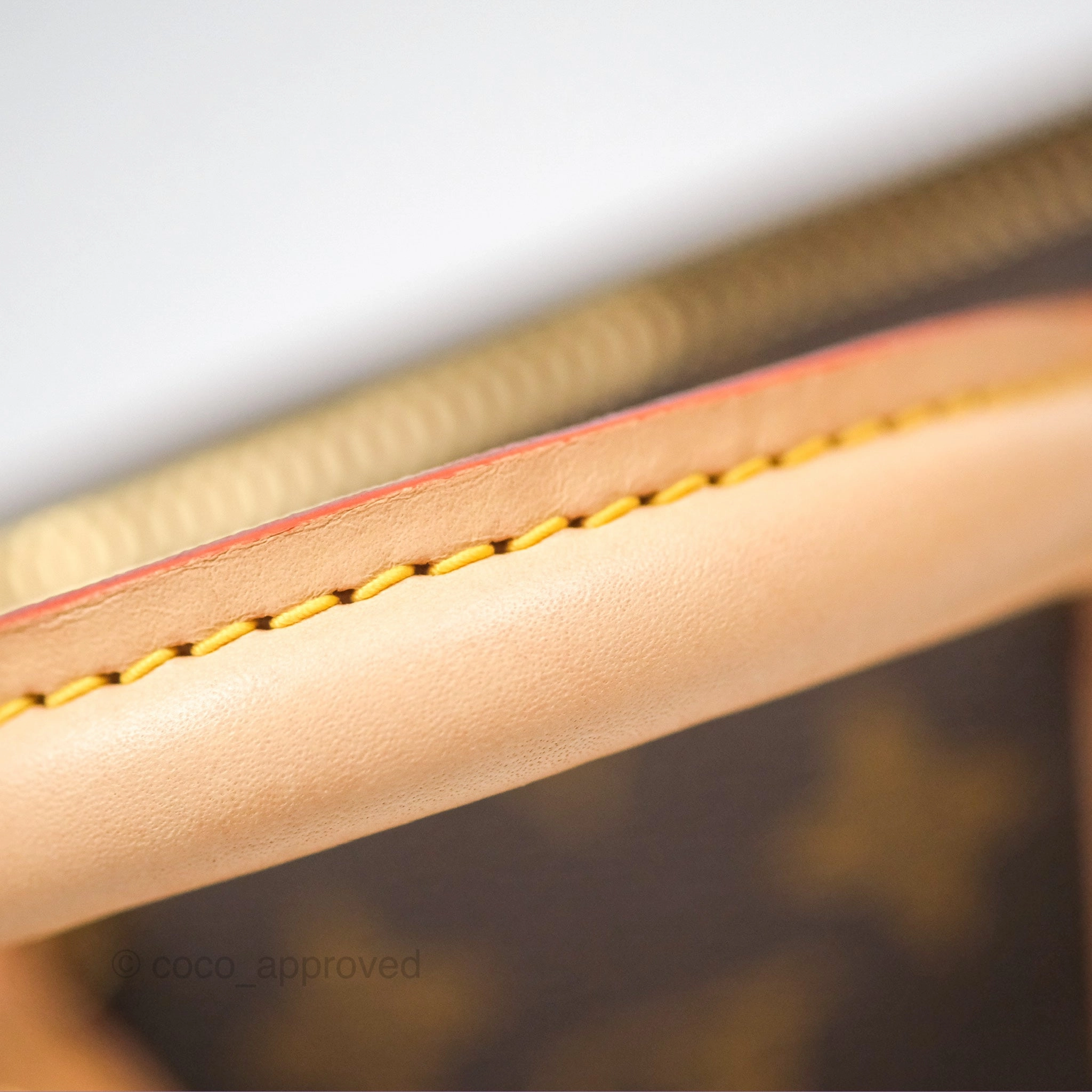 Louis Vuitton Speedy Bandoulire 20 Monogram