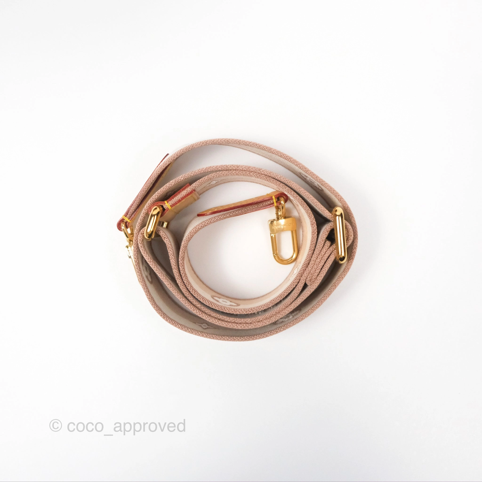 Louis Vuitton Speedy Bandoulire 20 Monogram