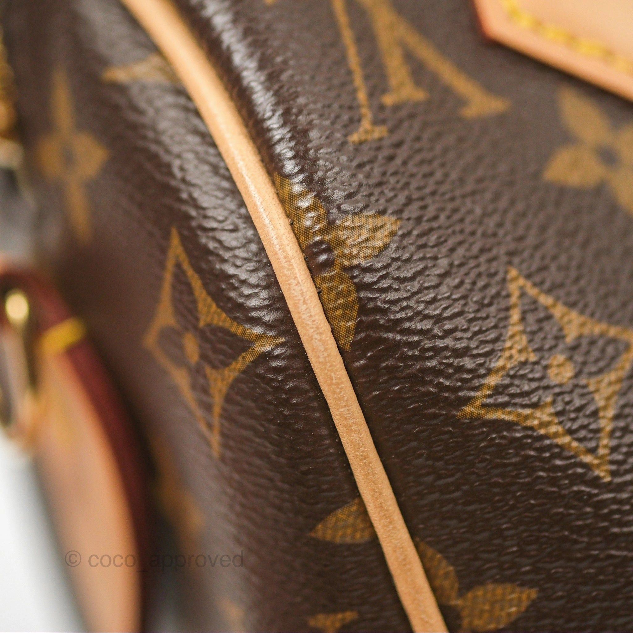 Louis Vuitton Speedy Bandoulire 20 Monogram