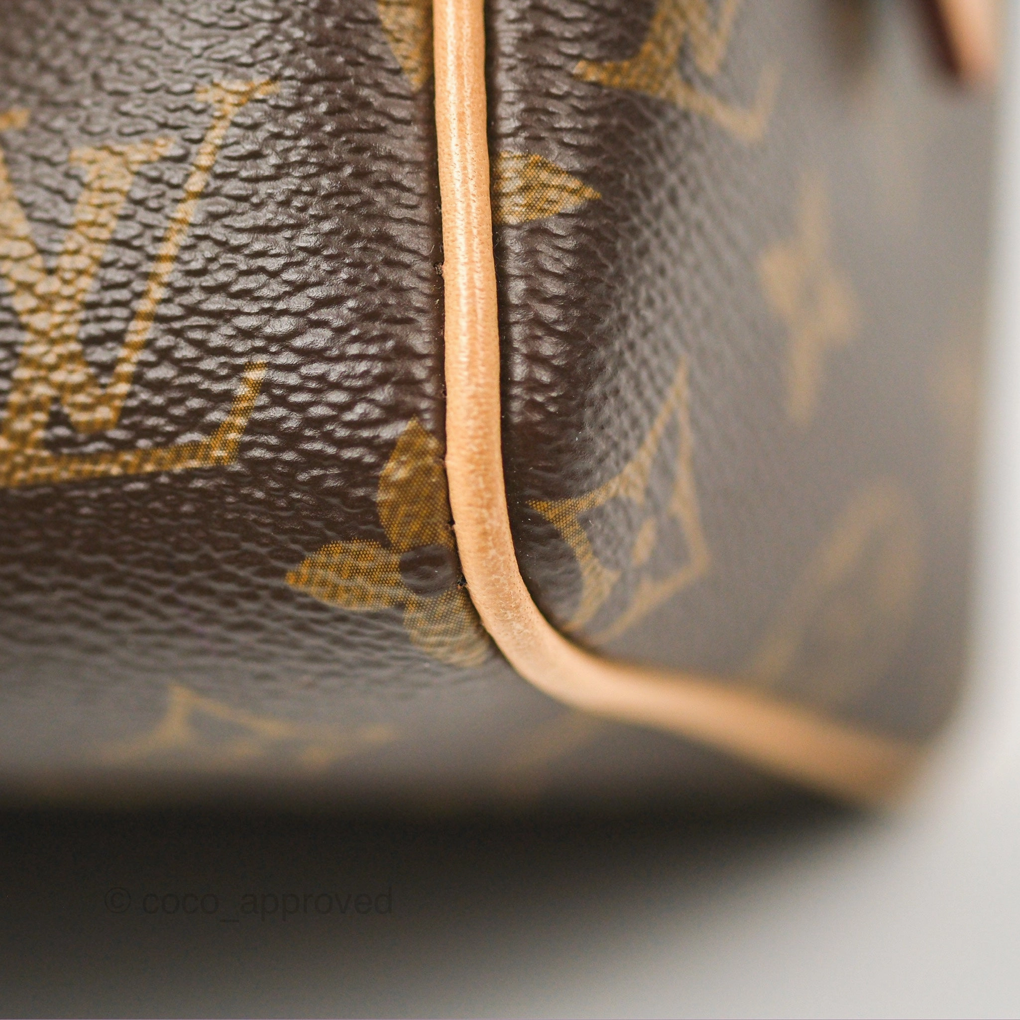 Louis Vuitton Speedy Bandoulire 20 Monogram