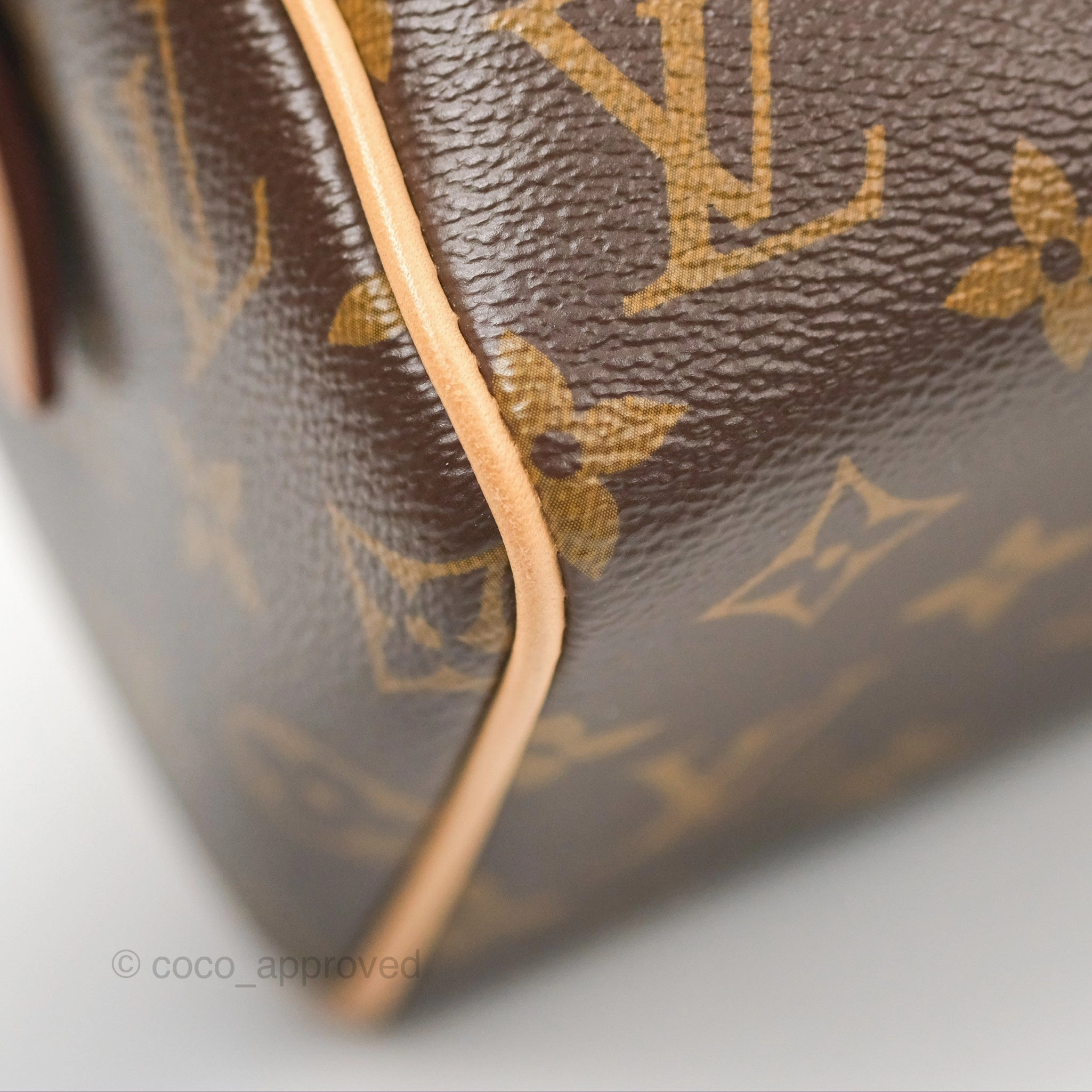 Louis Vuitton Speedy Bandoulire 20 Monogram