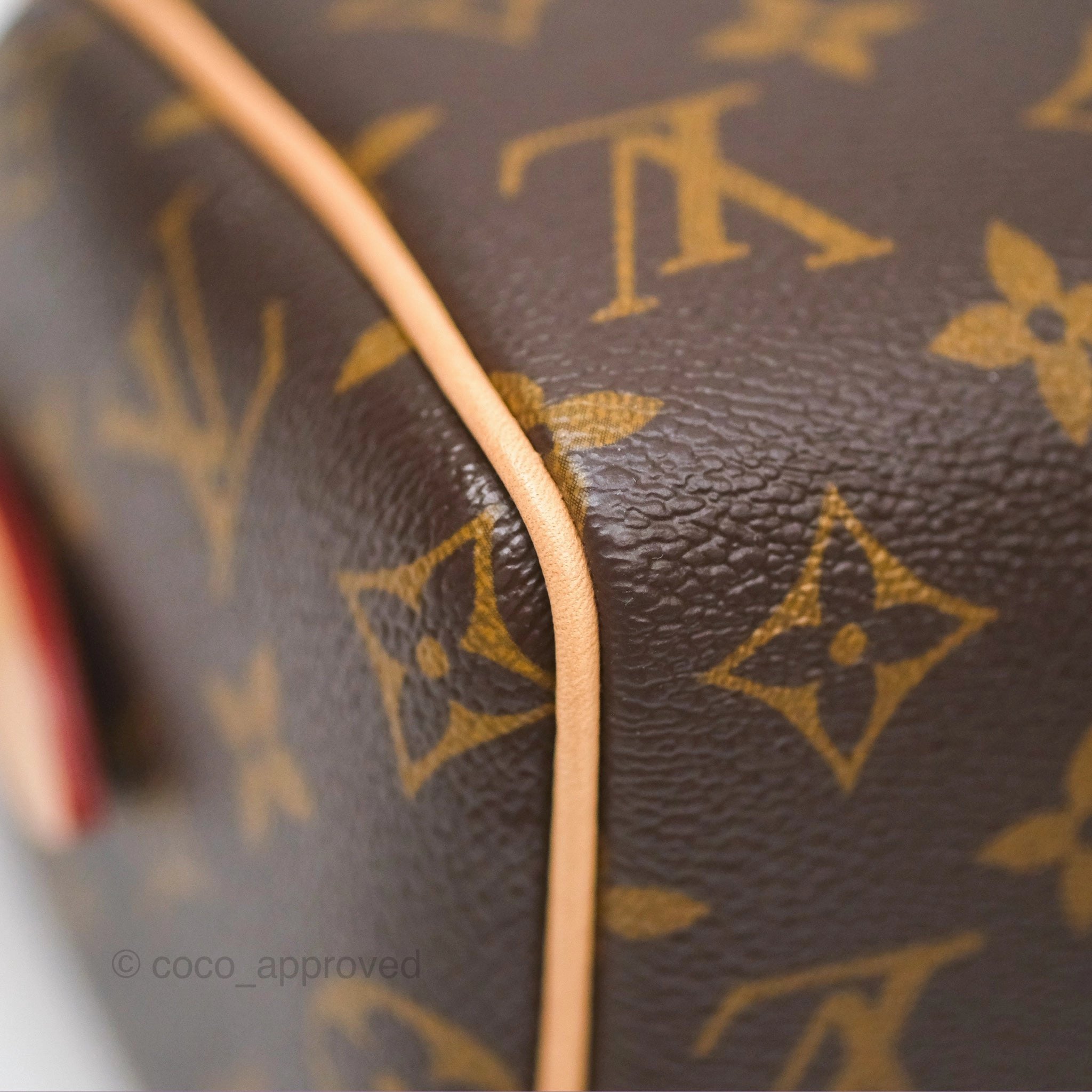 Louis Vuitton Speedy Bandoulire 20 Monogram