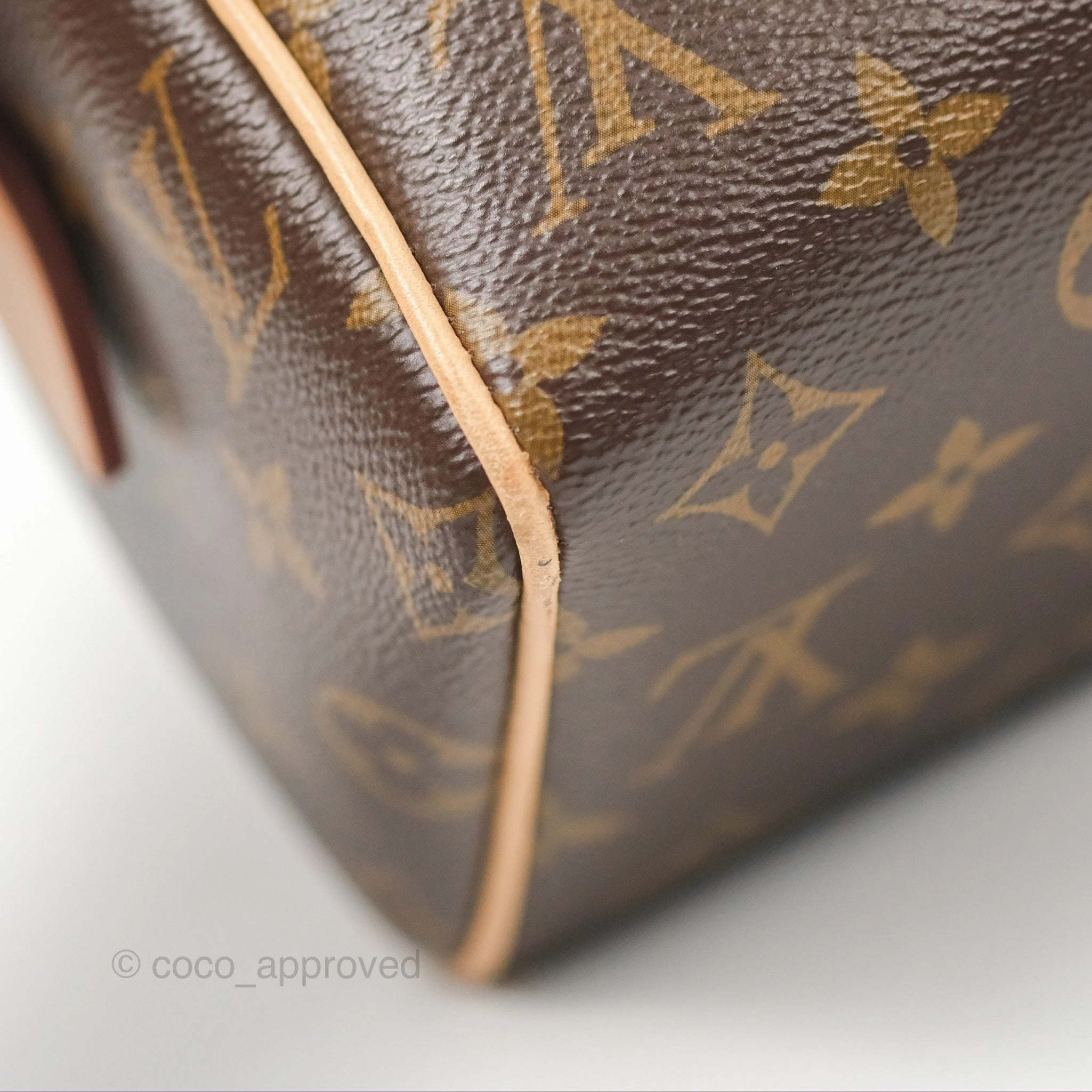 Louis Vuitton Speedy Bandoulire 20 Monogram