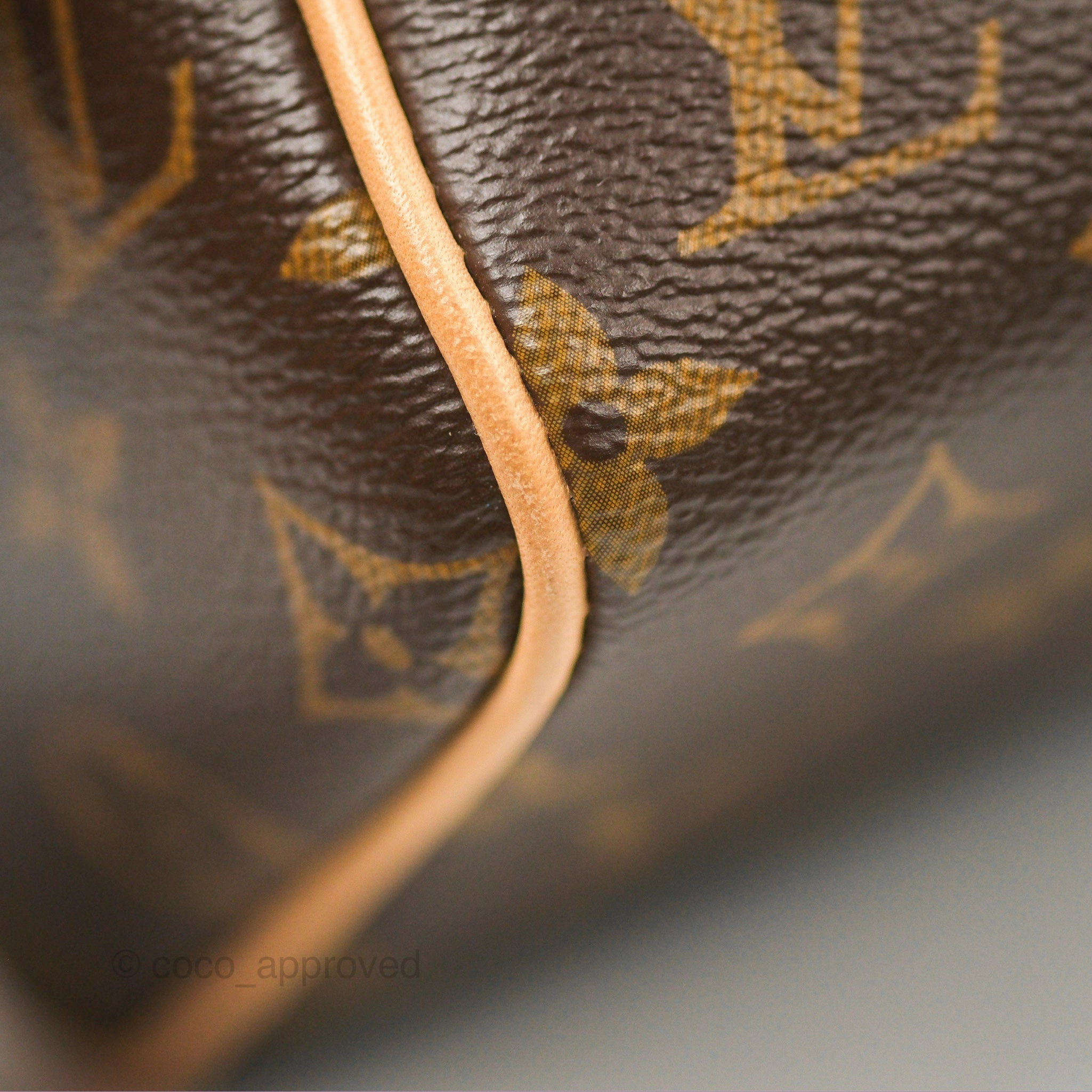 Louis Vuitton Speedy Bandoulire 20 Monogram