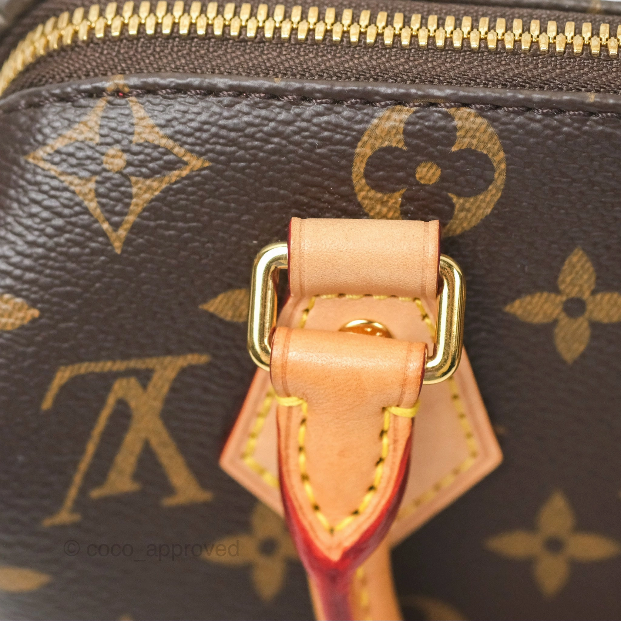 Louis Vuitton Speedy Bandoulire 20 Monogram