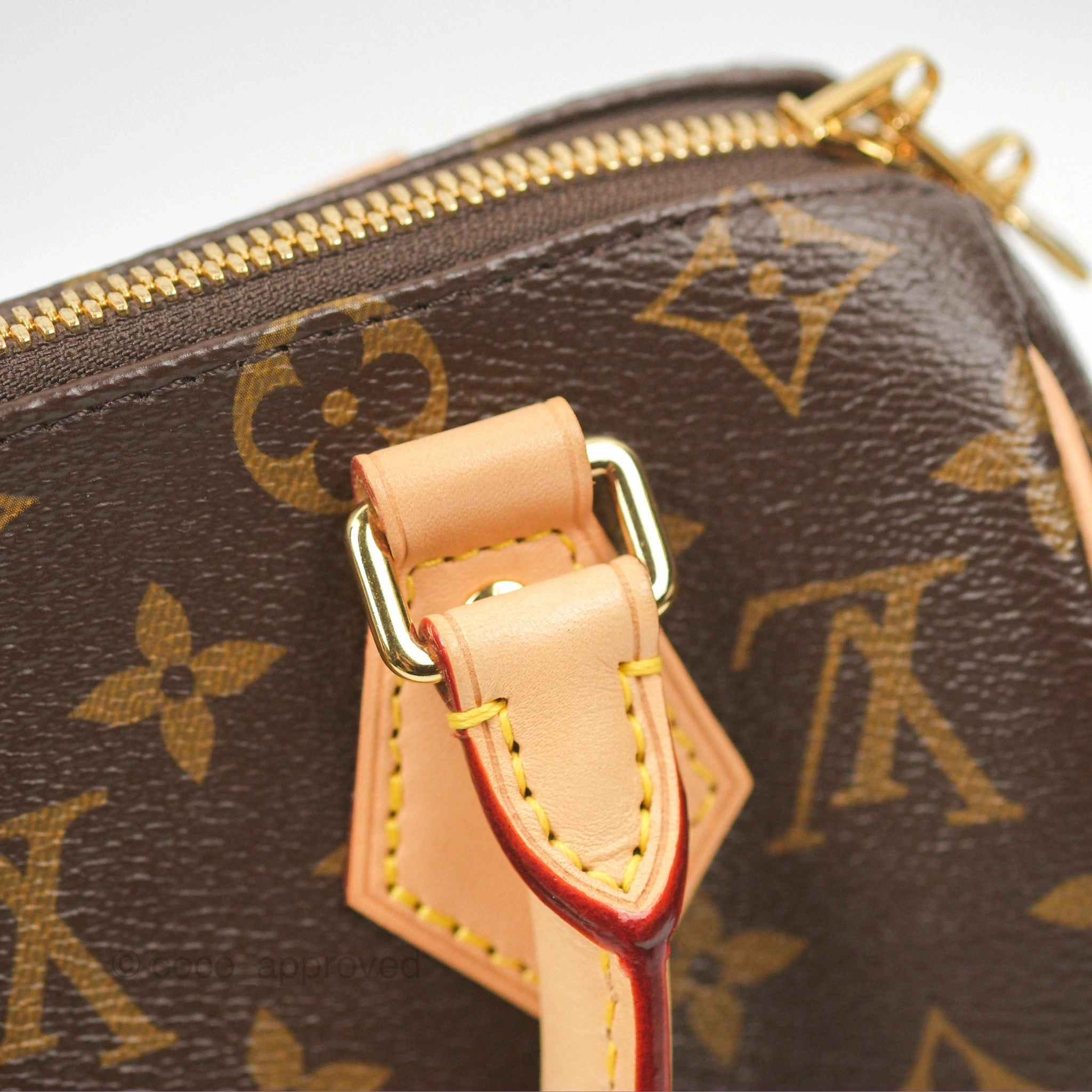 Louis Vuitton Speedy Bandoulire 20 Monogram
