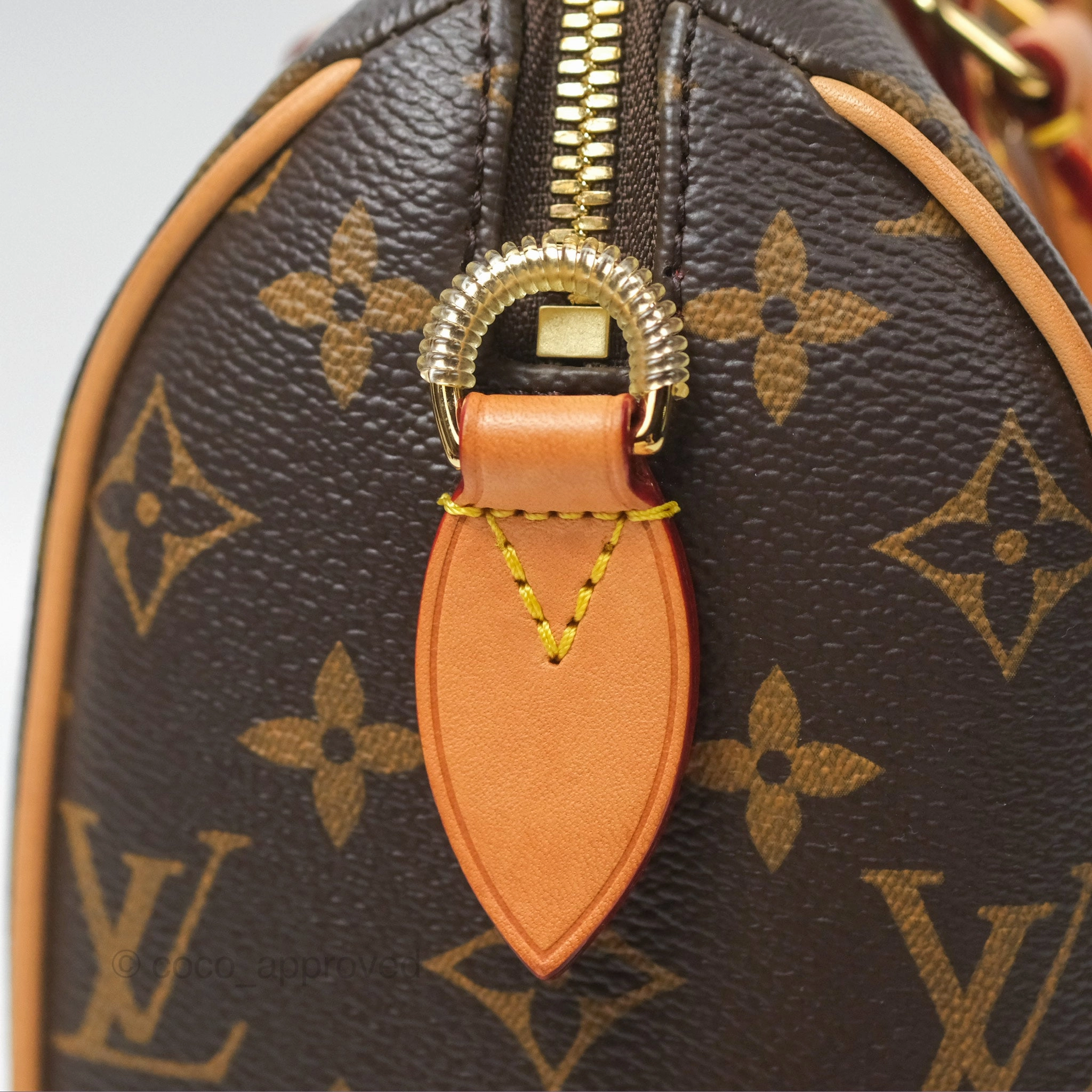 Louis Vuitton Speedy Bandoulire 20 Monogram