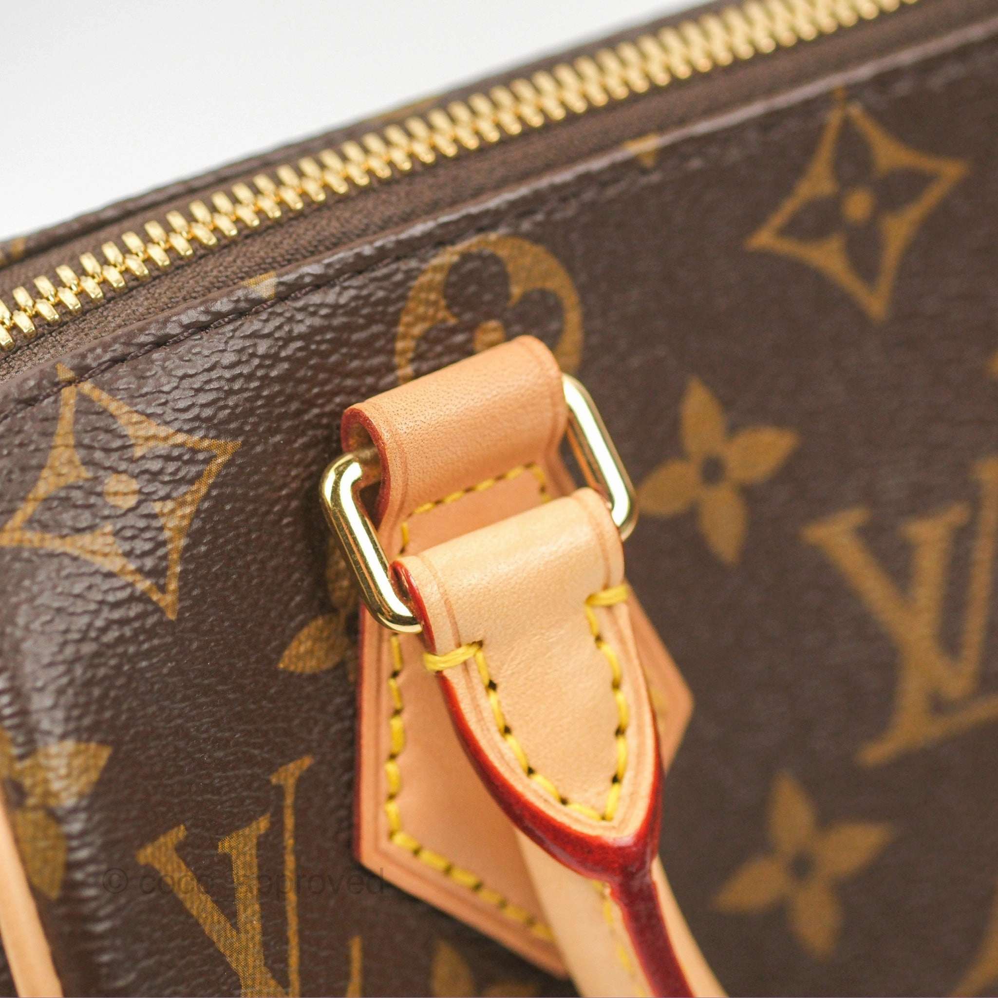 Louis Vuitton Speedy Bandoulire 20 Monogram