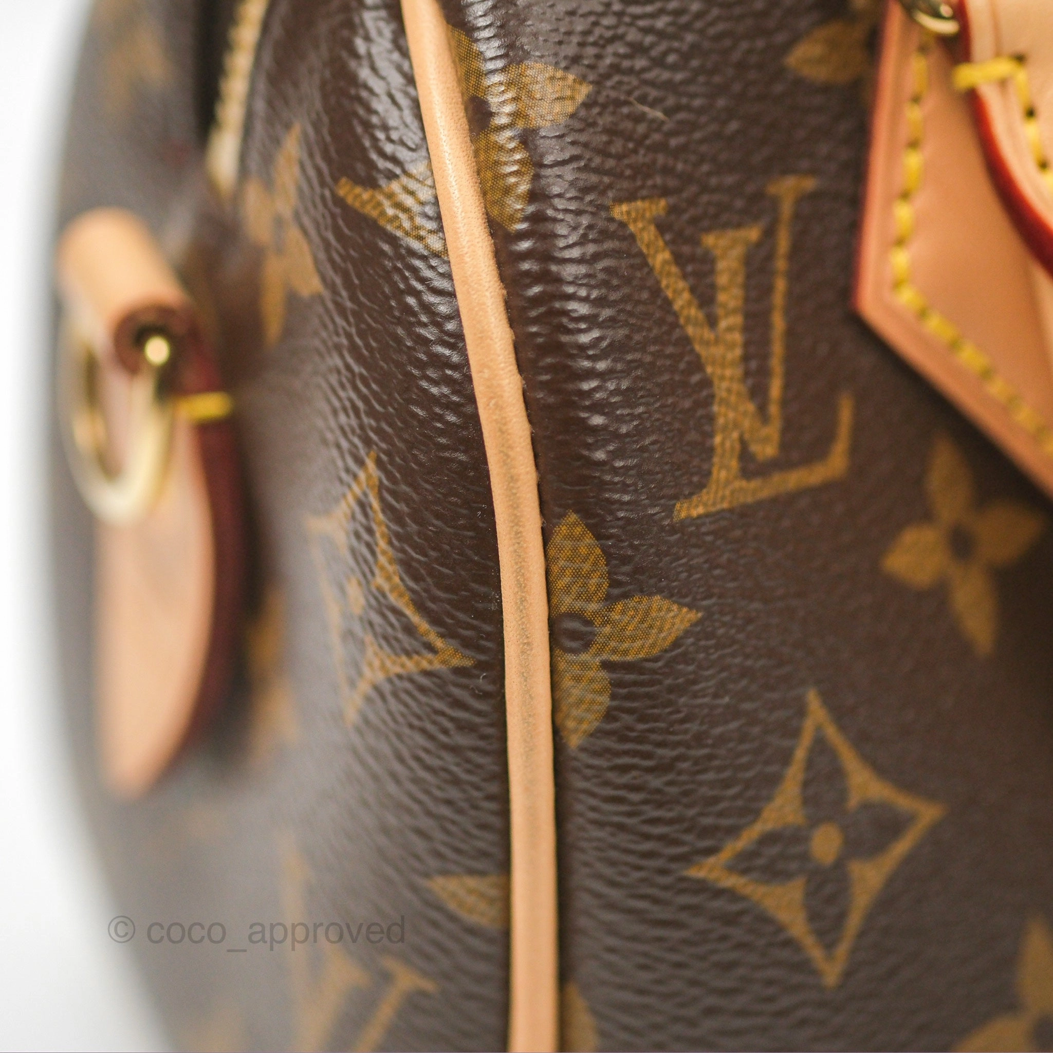 Louis Vuitton Speedy Bandoulire 20 Monogram