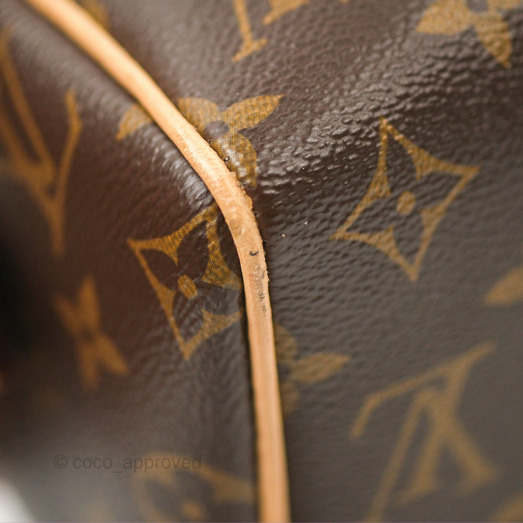 Louis Vuitton Speedy Bandoulire 20 Monogram
