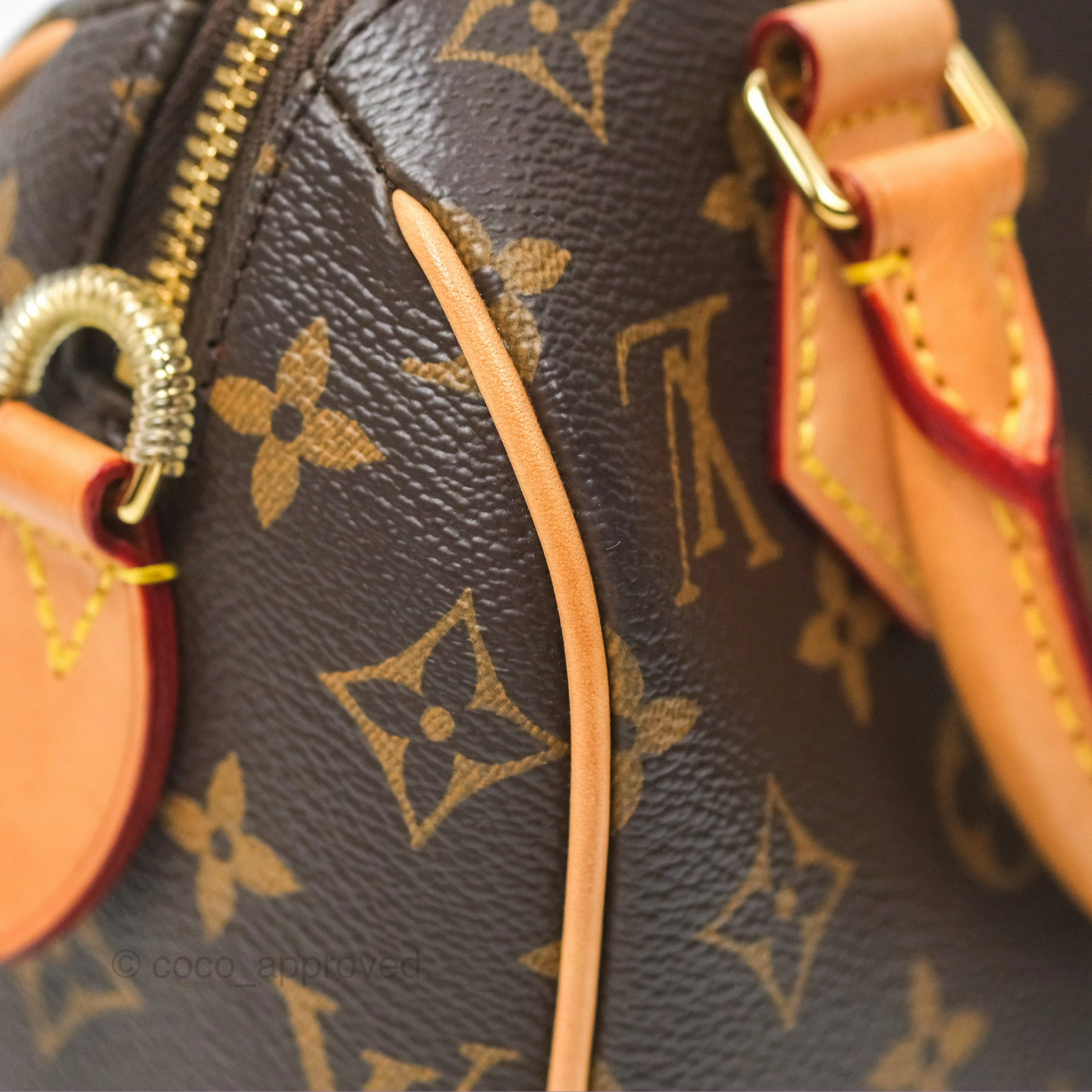 Louis Vuitton Speedy Bandoulire 20 Monogram