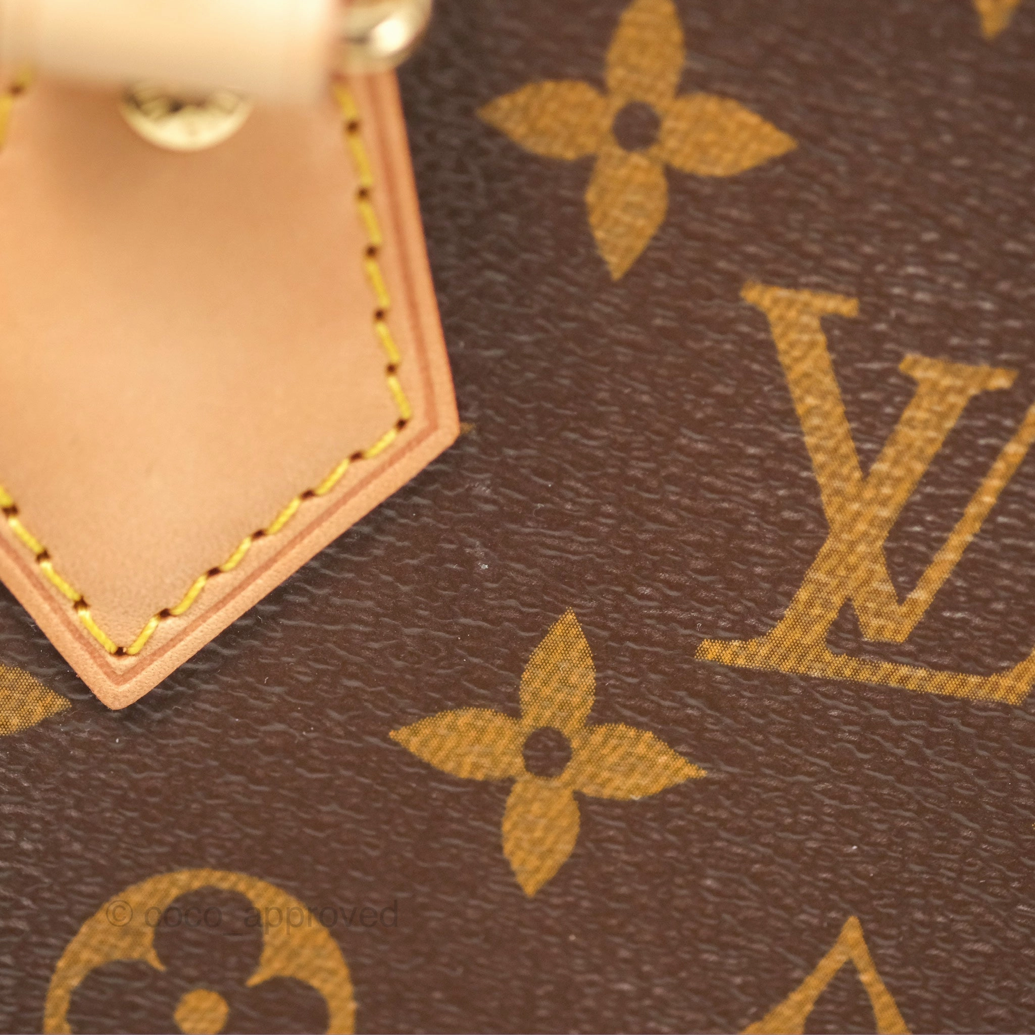 Louis Vuitton Speedy Bandoulire 20 Monogram