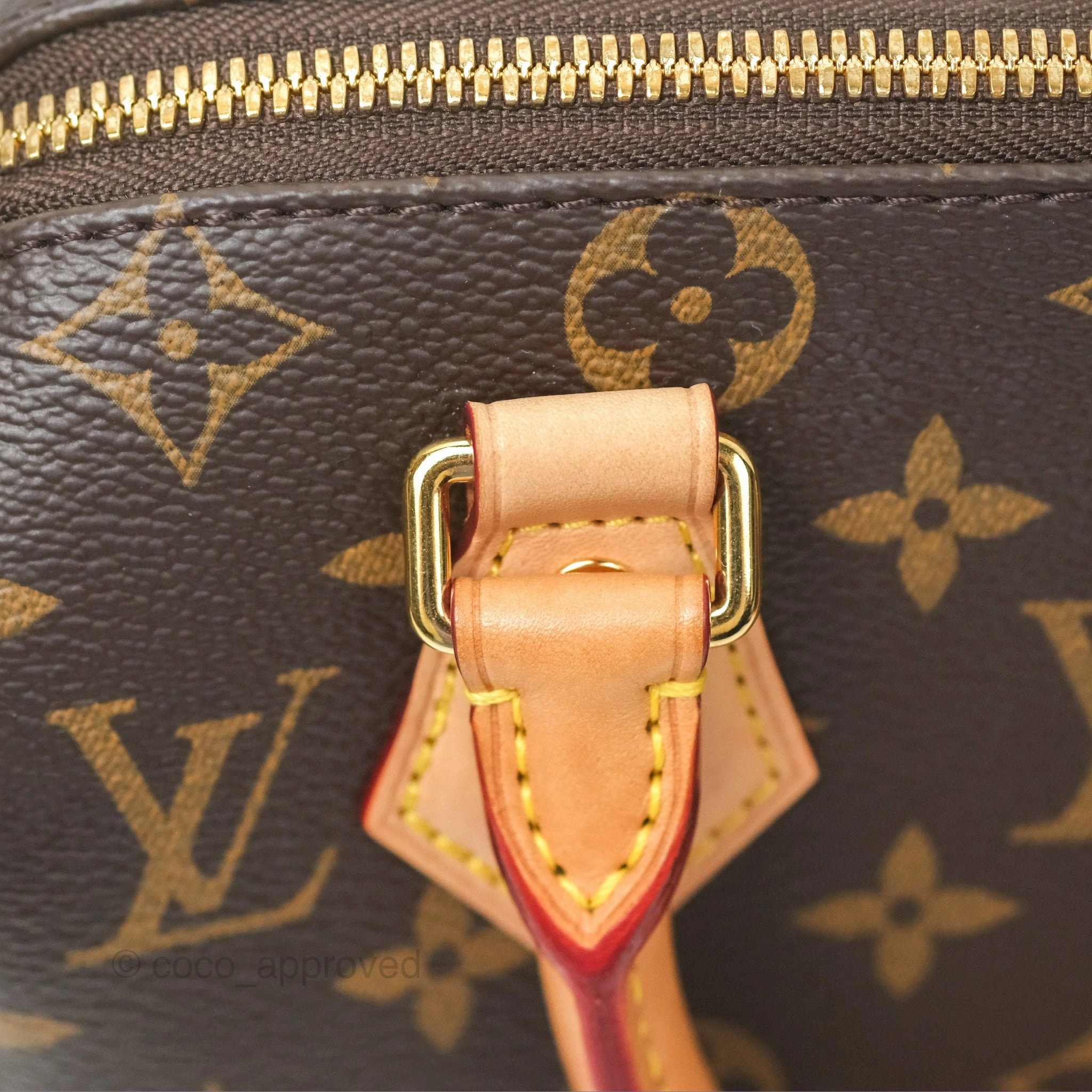 Louis Vuitton Speedy Bandoulire 20 Monogram