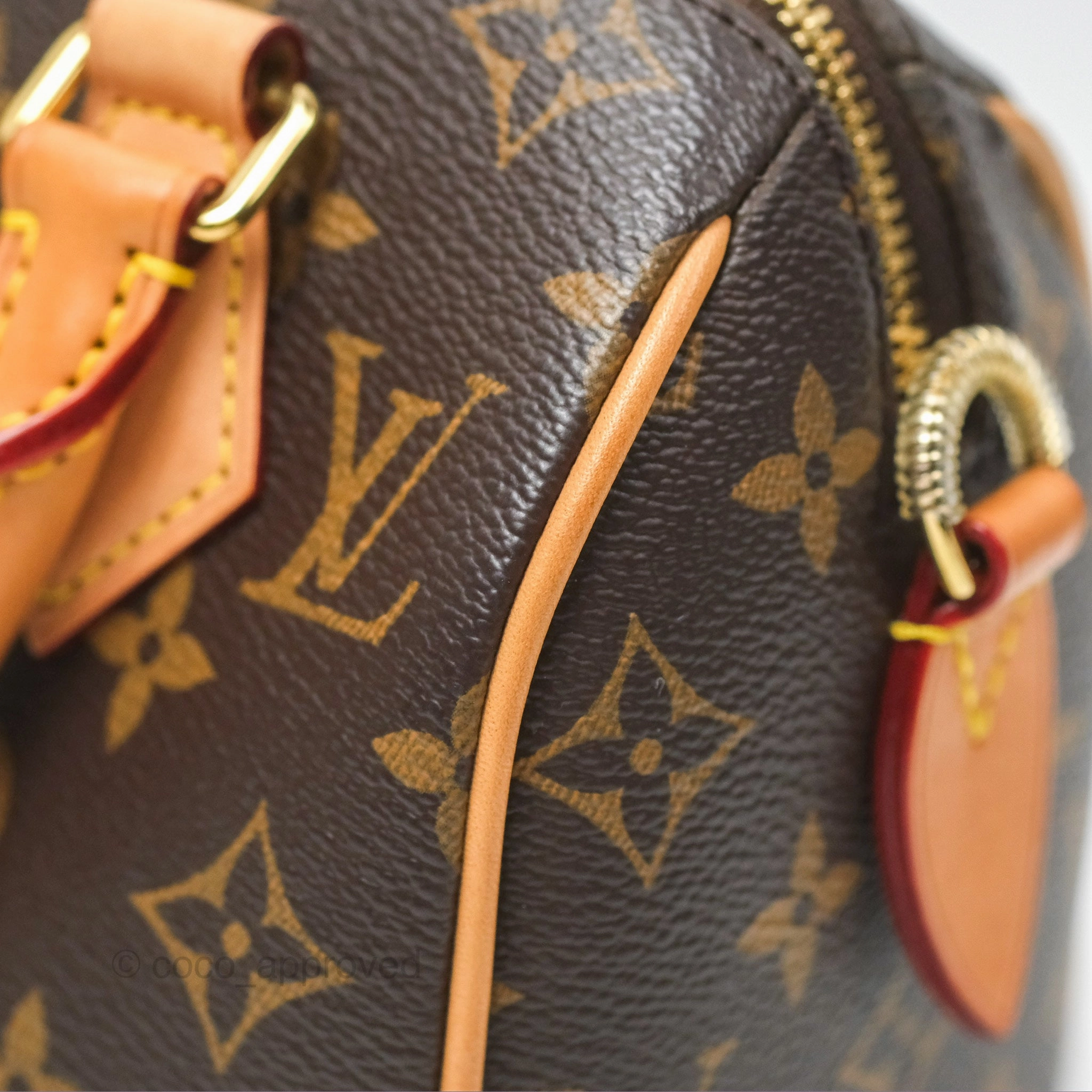 Louis Vuitton Speedy Bandoulire 20 Monogram