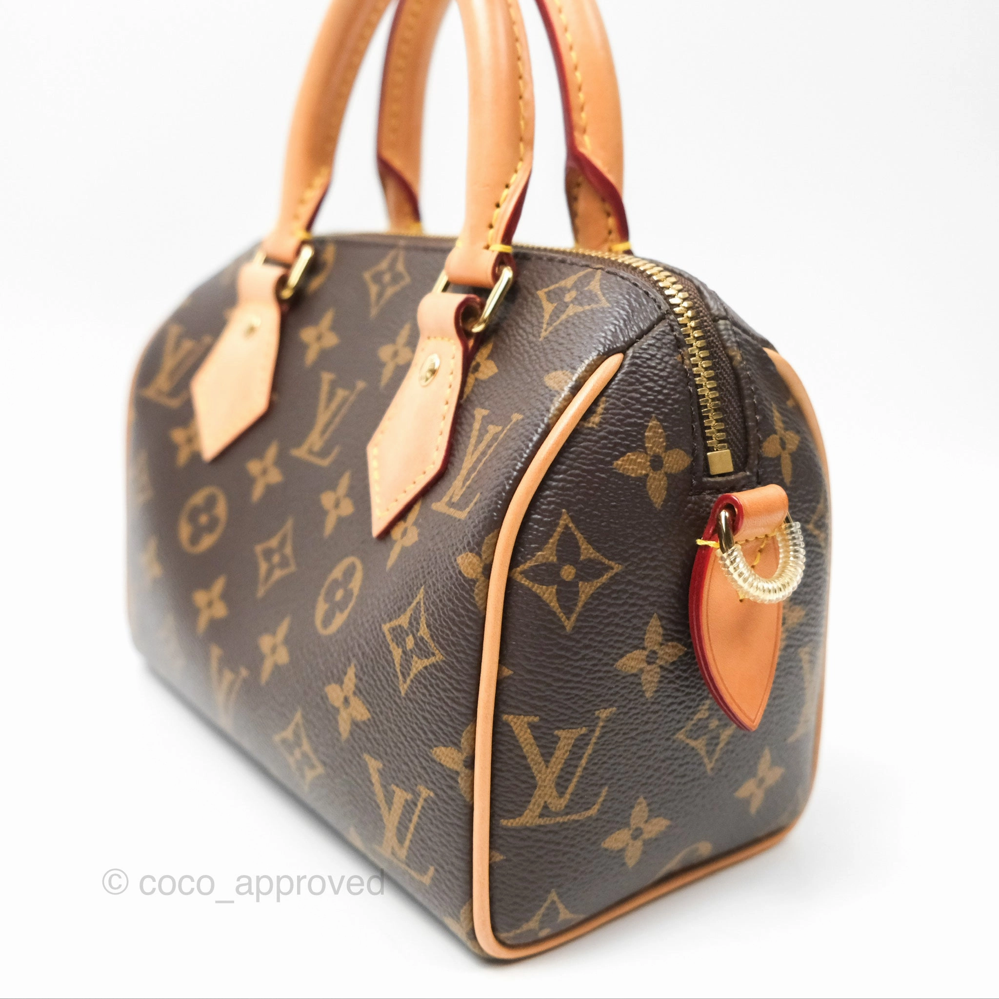 Louis Vuitton Speedy Bandoulire 20 Monogram