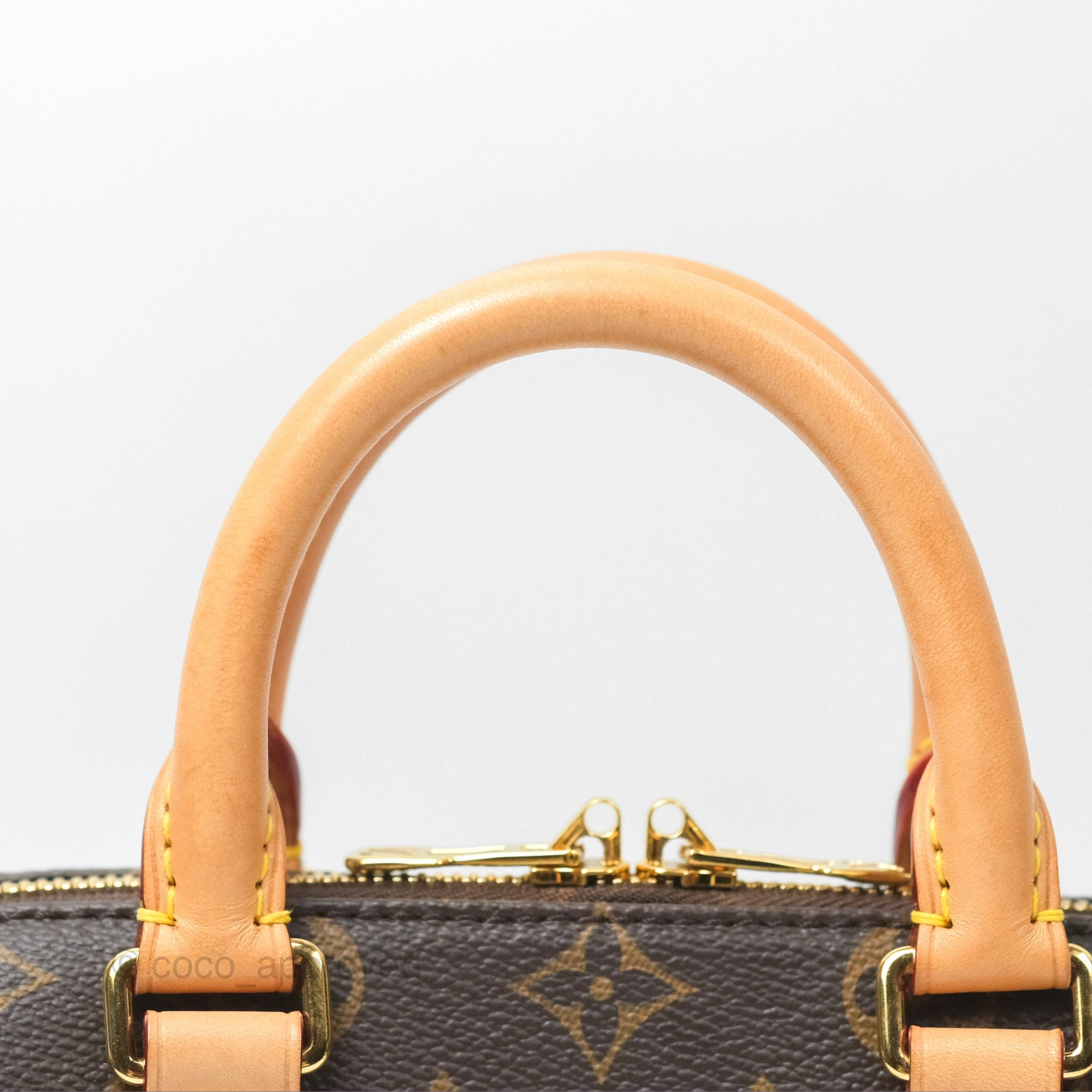 Louis Vuitton Speedy Bandoulire 20 Monogram