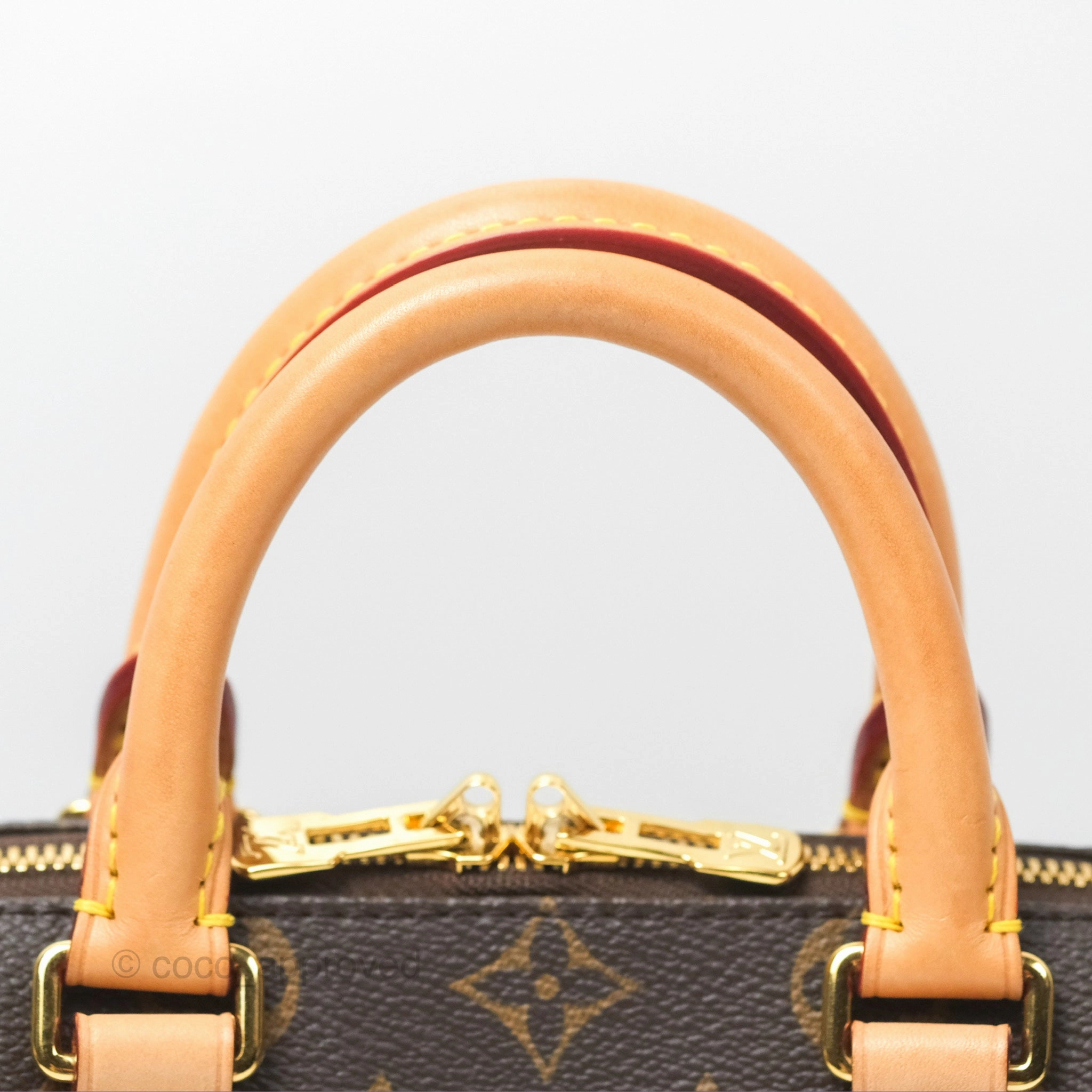 Louis Vuitton Speedy Bandoulire 20 Monogram