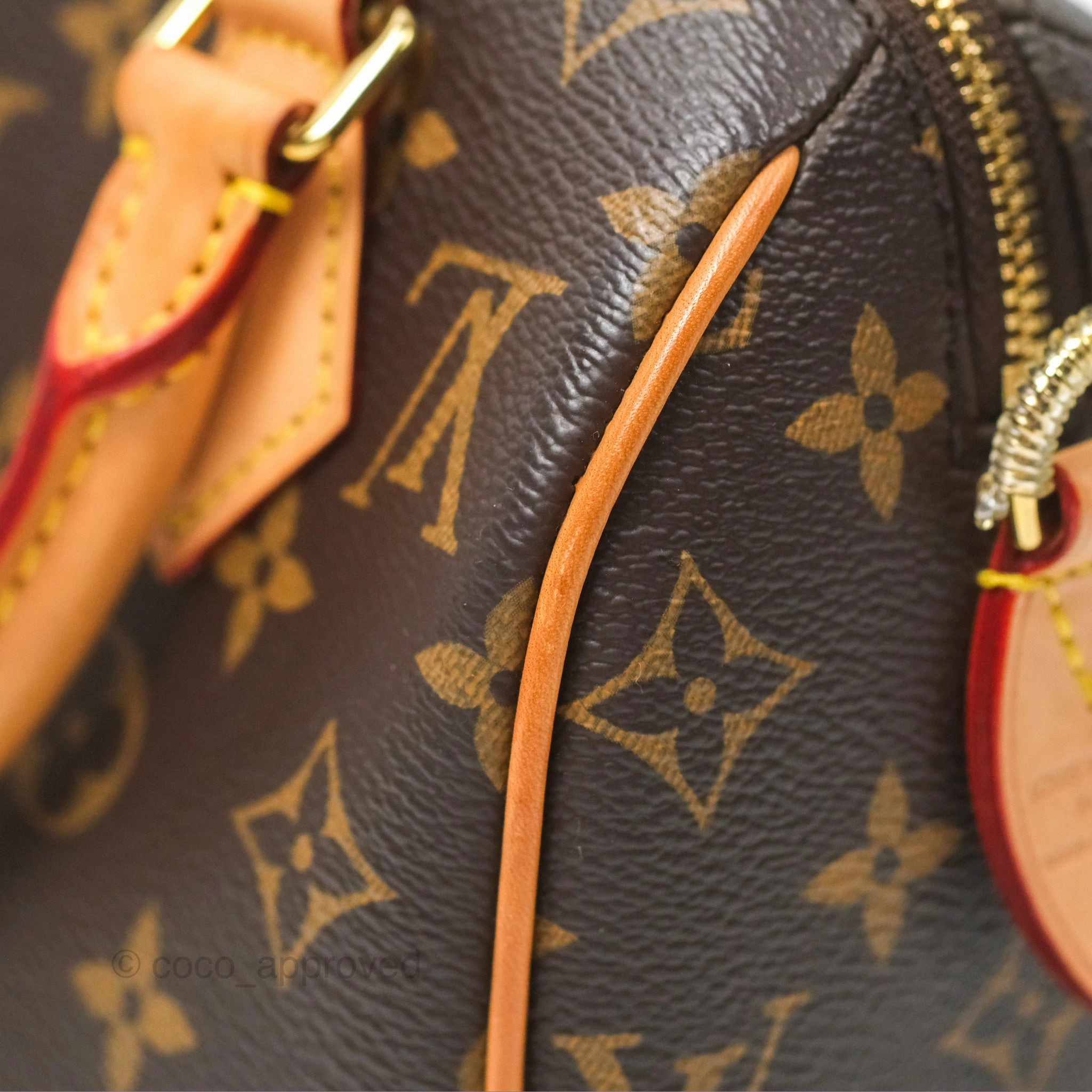 Louis Vuitton Speedy Bandoulire 20 Monogram
