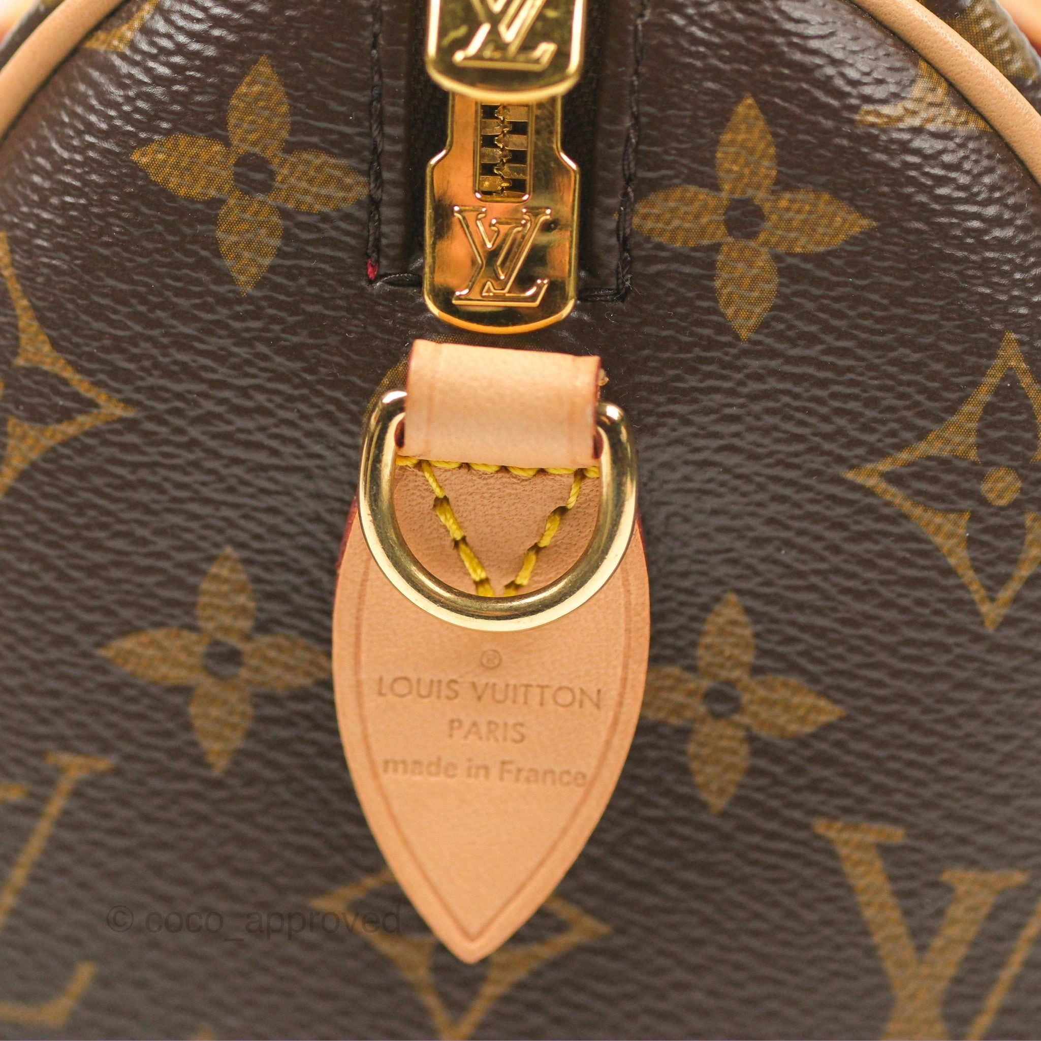 Louis Vuitton Speedy Bandoulire 20 Monogram