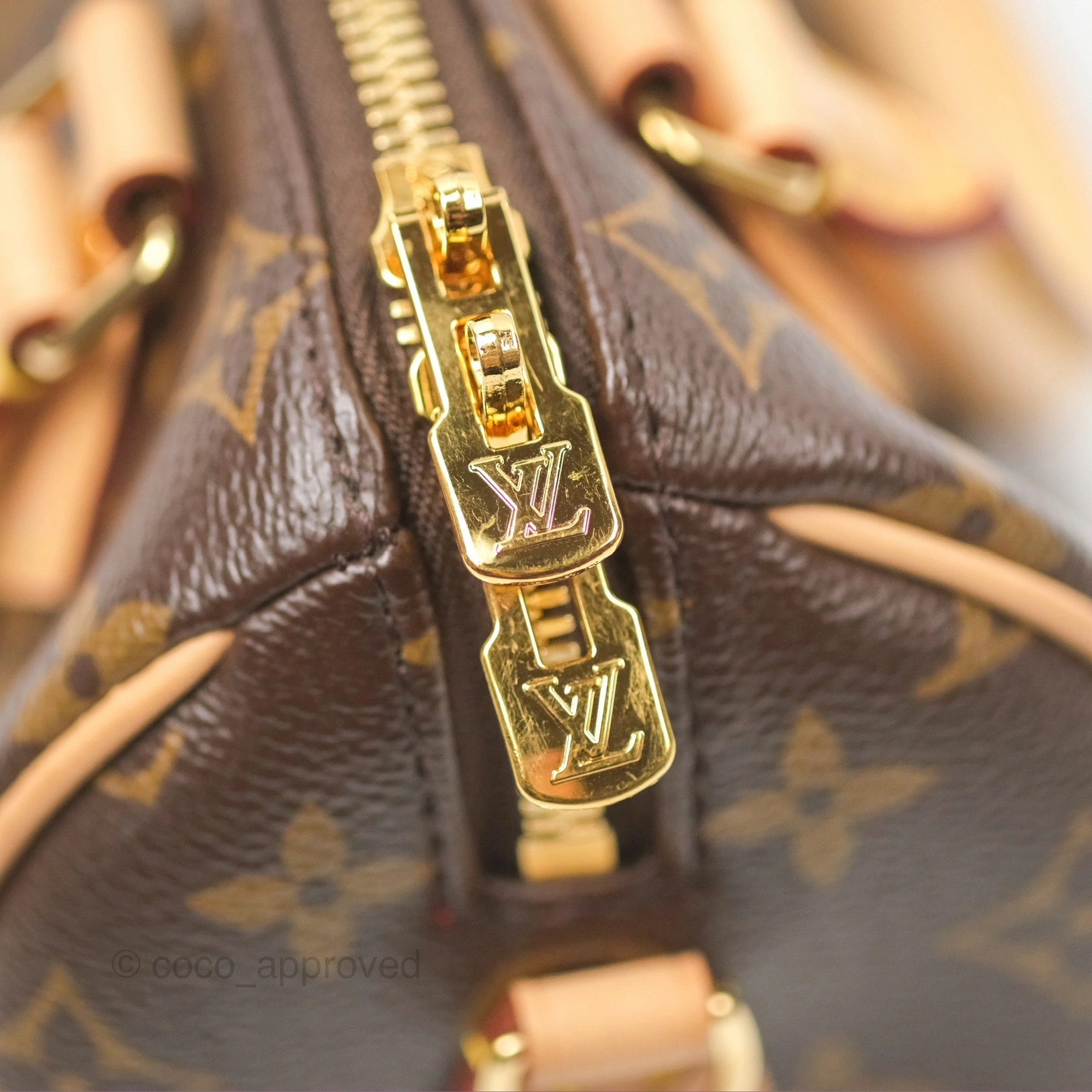 Louis Vuitton Speedy Bandoulire 20 Monogram