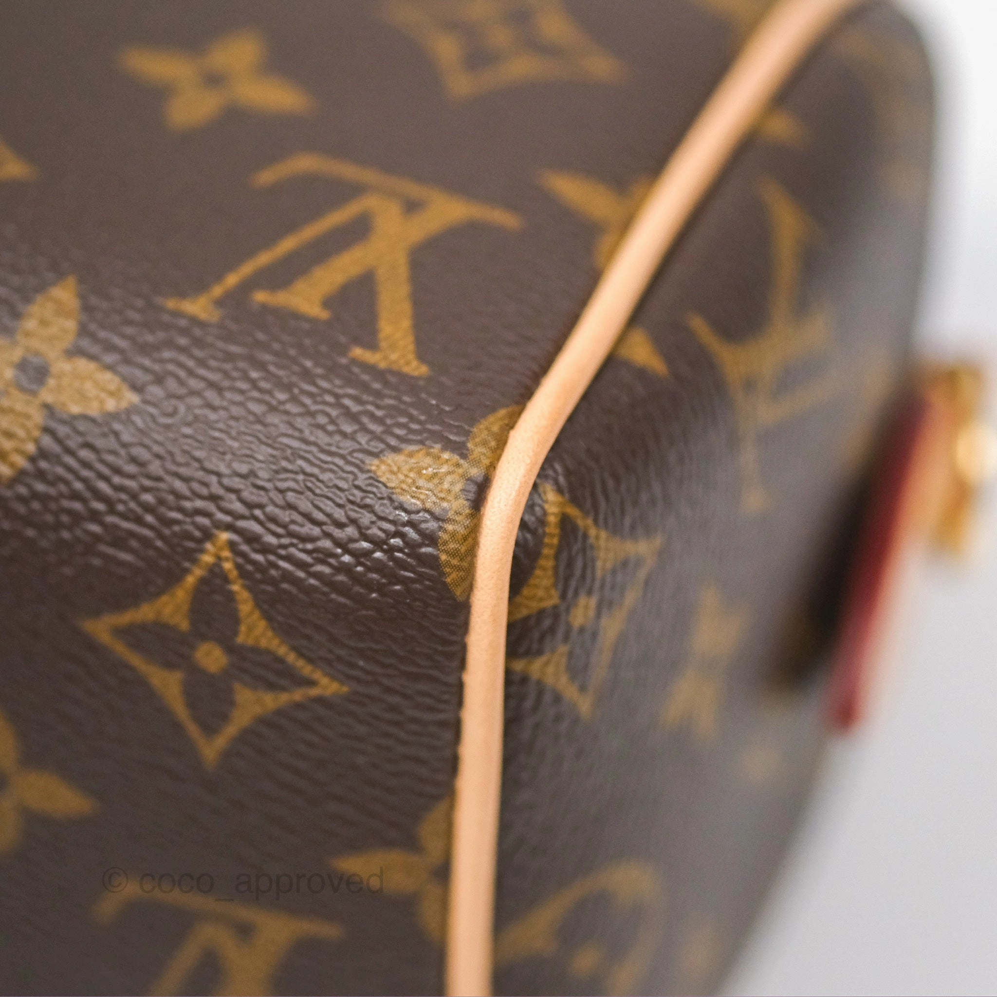 Louis Vuitton Speedy Bandoulire 20 Monogram