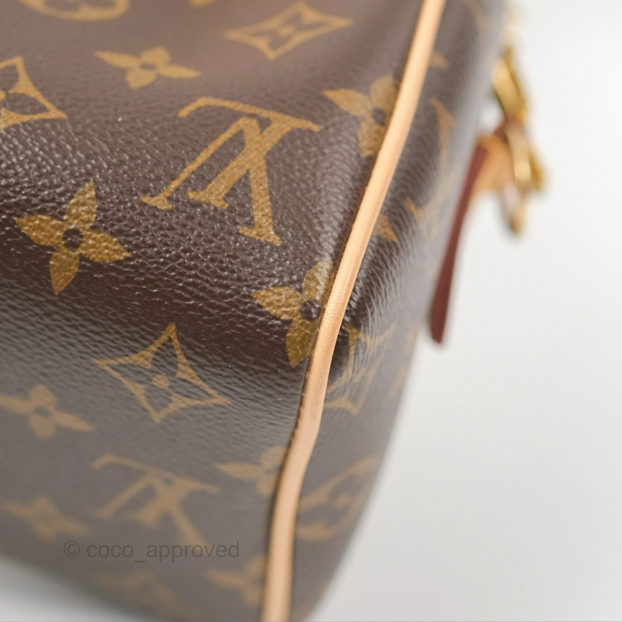 Louis Vuitton Speedy Bandoulire 20 Monogram