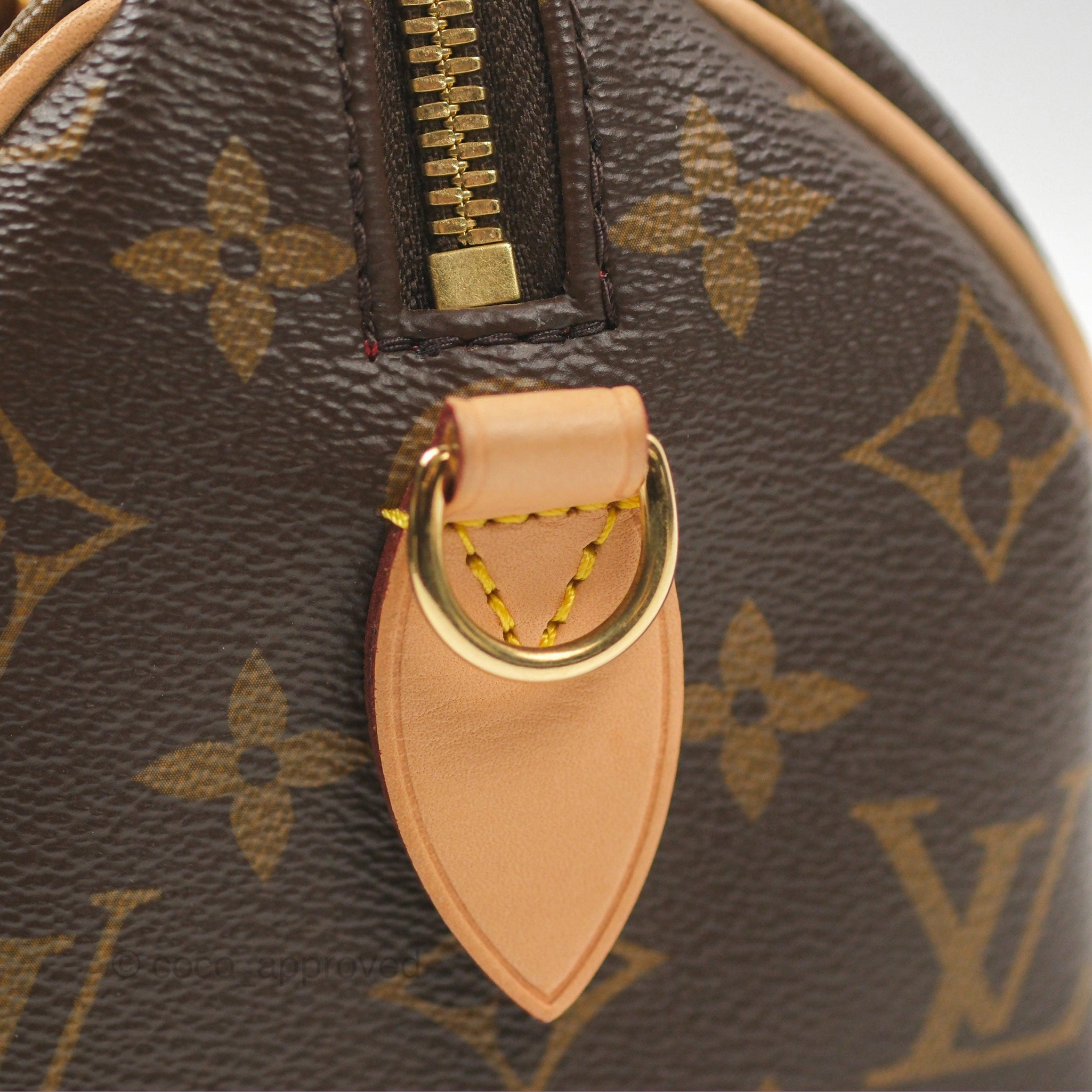 Louis Vuitton Speedy Bandoulire 20 Monogram