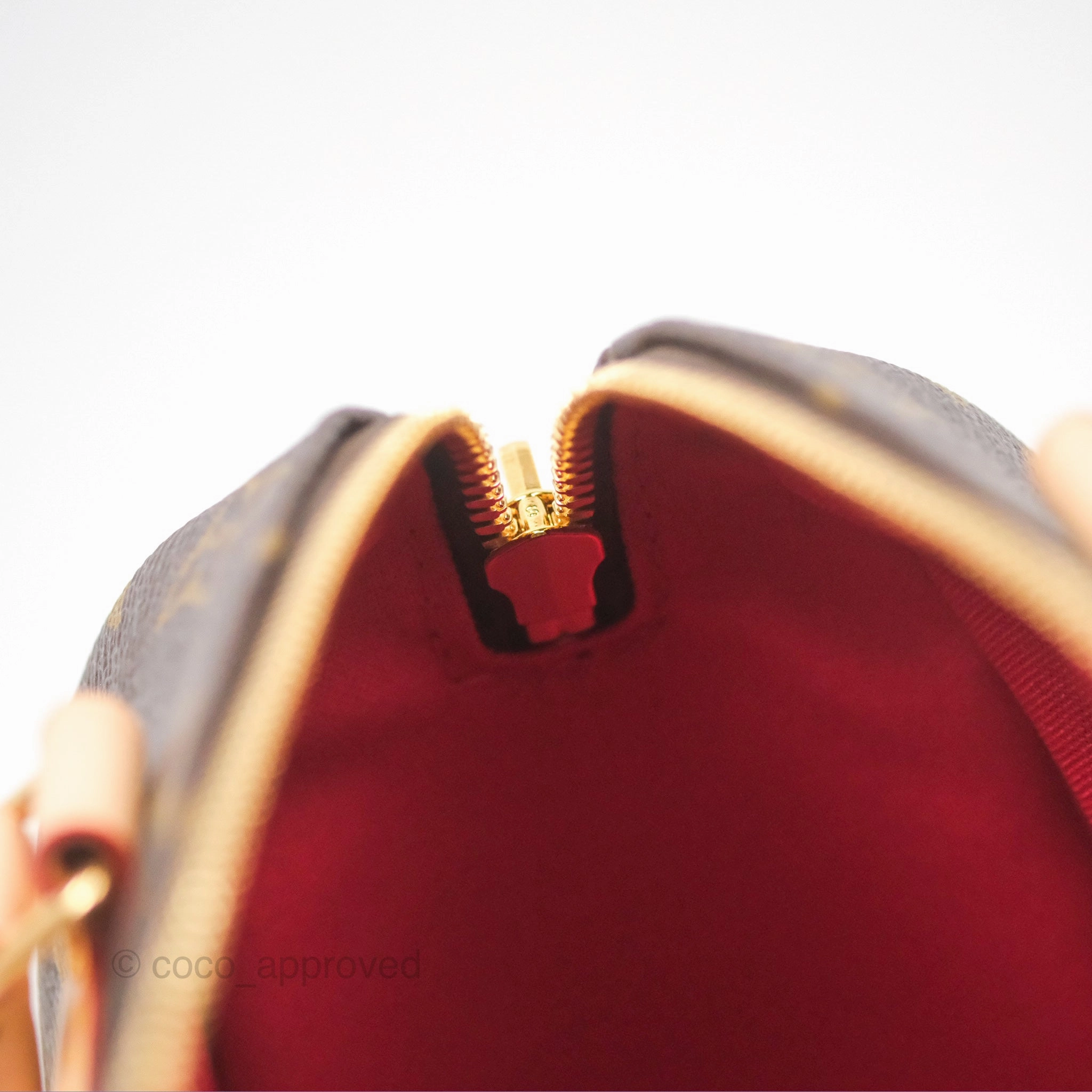 Louis Vuitton Speedy Bandoulire 20 Monogram