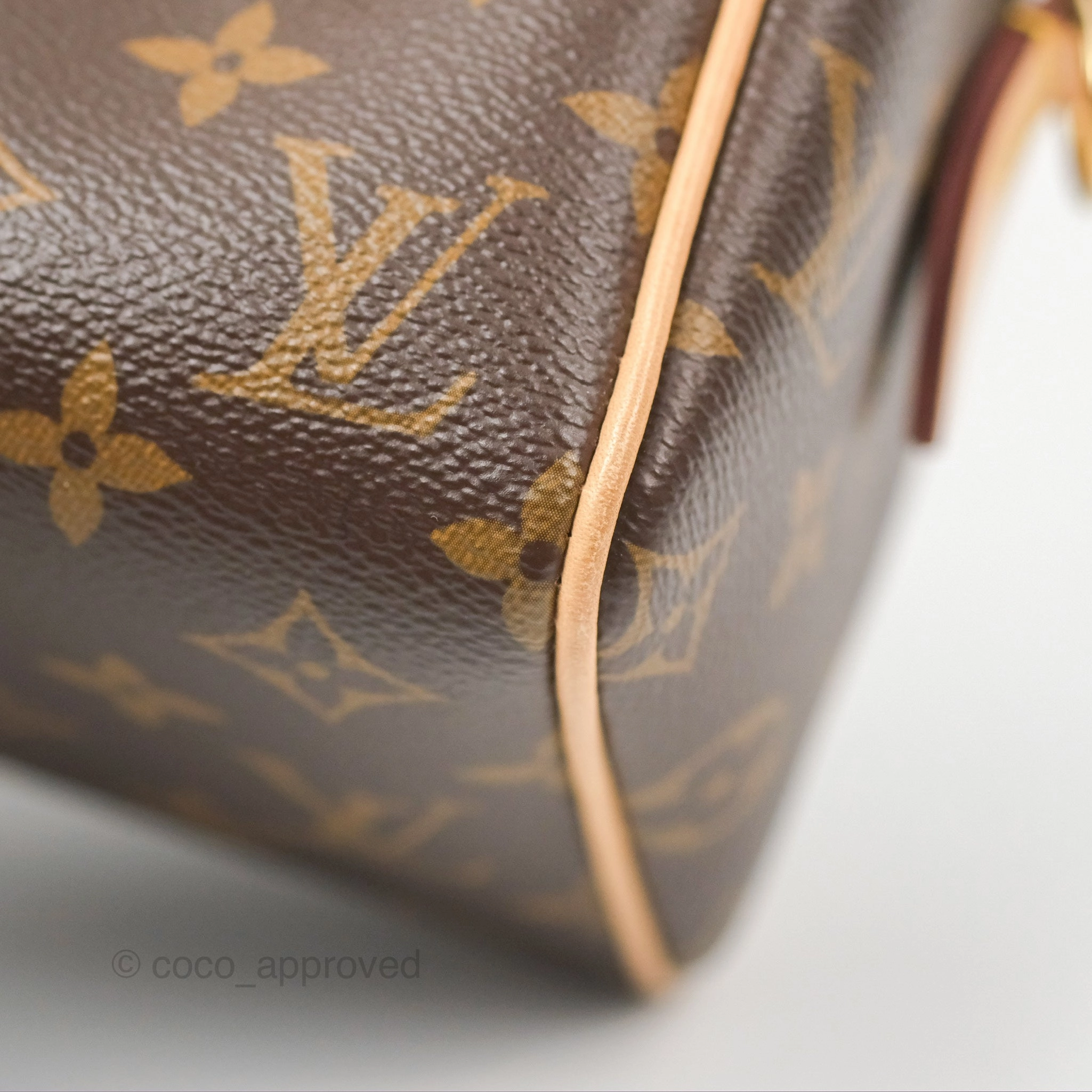 Louis Vuitton Speedy Bandoulire 20 Monogram