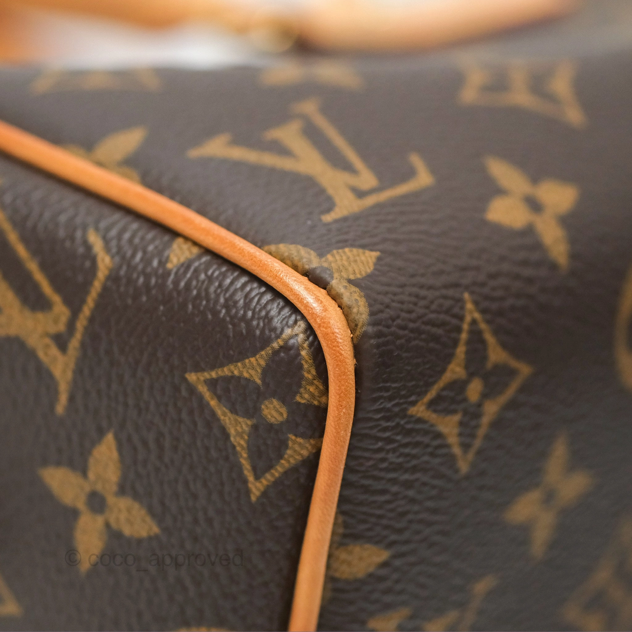 Louis Vuitton Speedy Bandoulire 20 Monogram