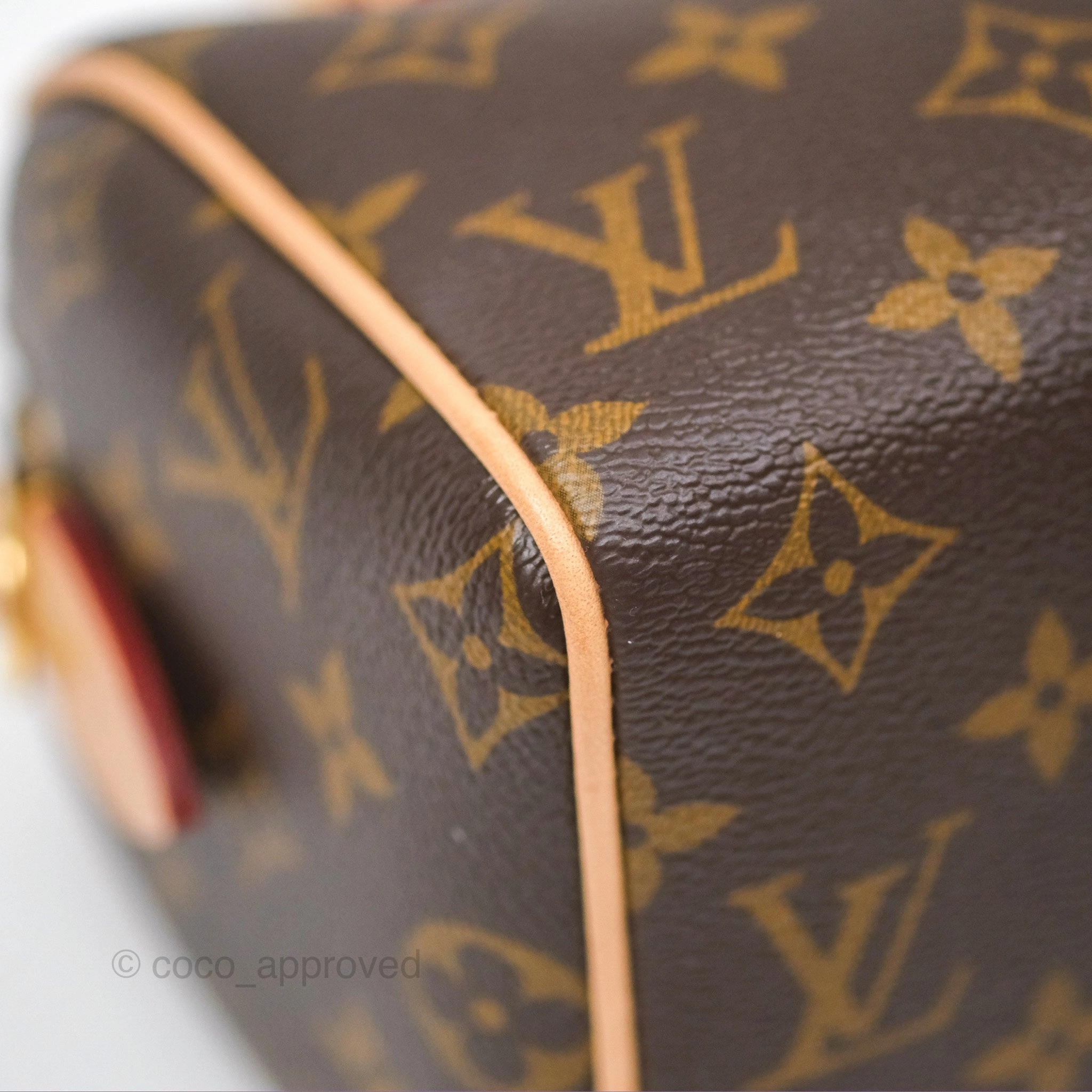 Louis Vuitton Speedy Bandoulire 20 Monogram