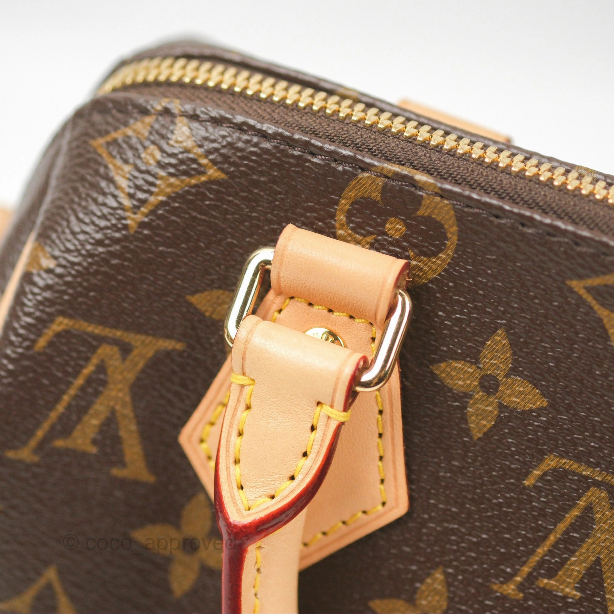Louis Vuitton Speedy Bandoulire 20 Monogram