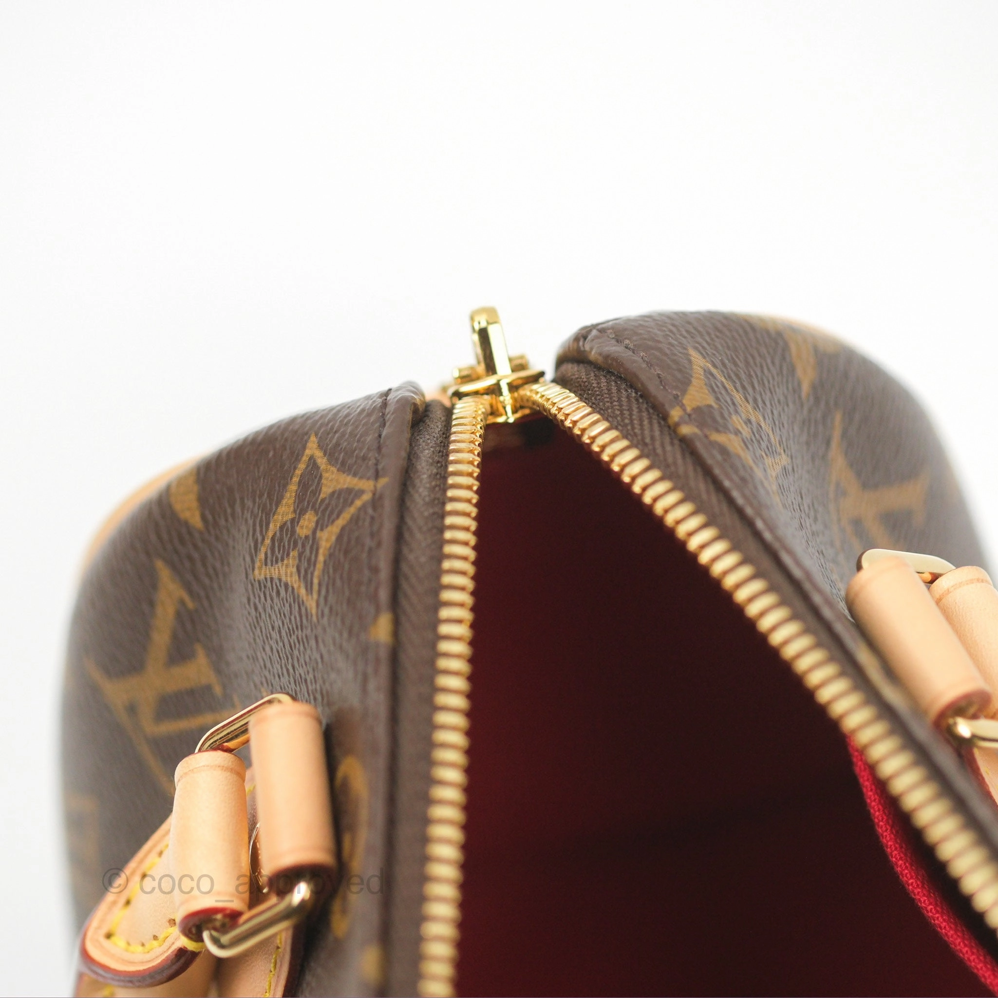 Louis Vuitton Speedy Bandoulire 20 Monogram