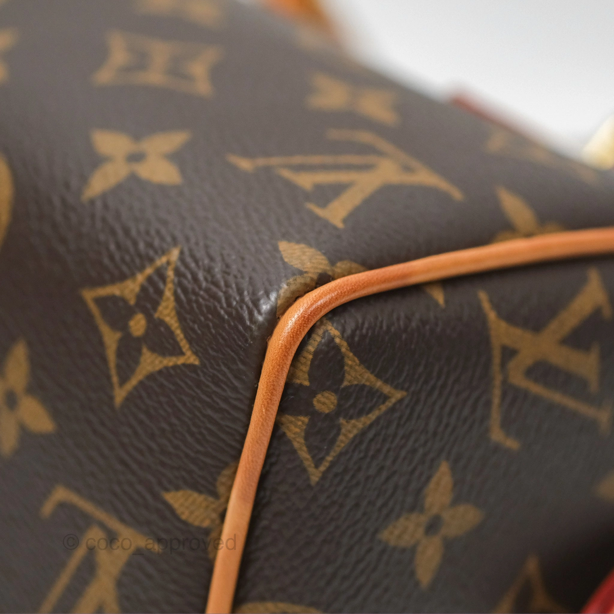 Louis Vuitton Speedy Bandoulire 20 Monogram