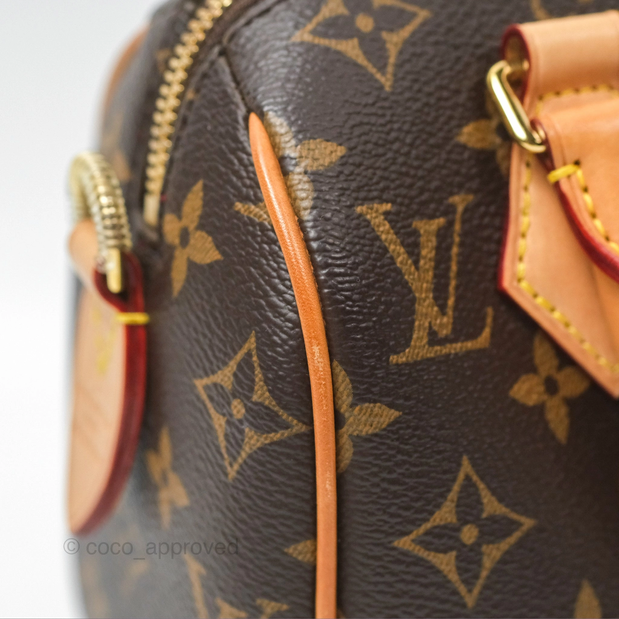 Louis Vuitton Speedy Bandoulire 20 Monogram