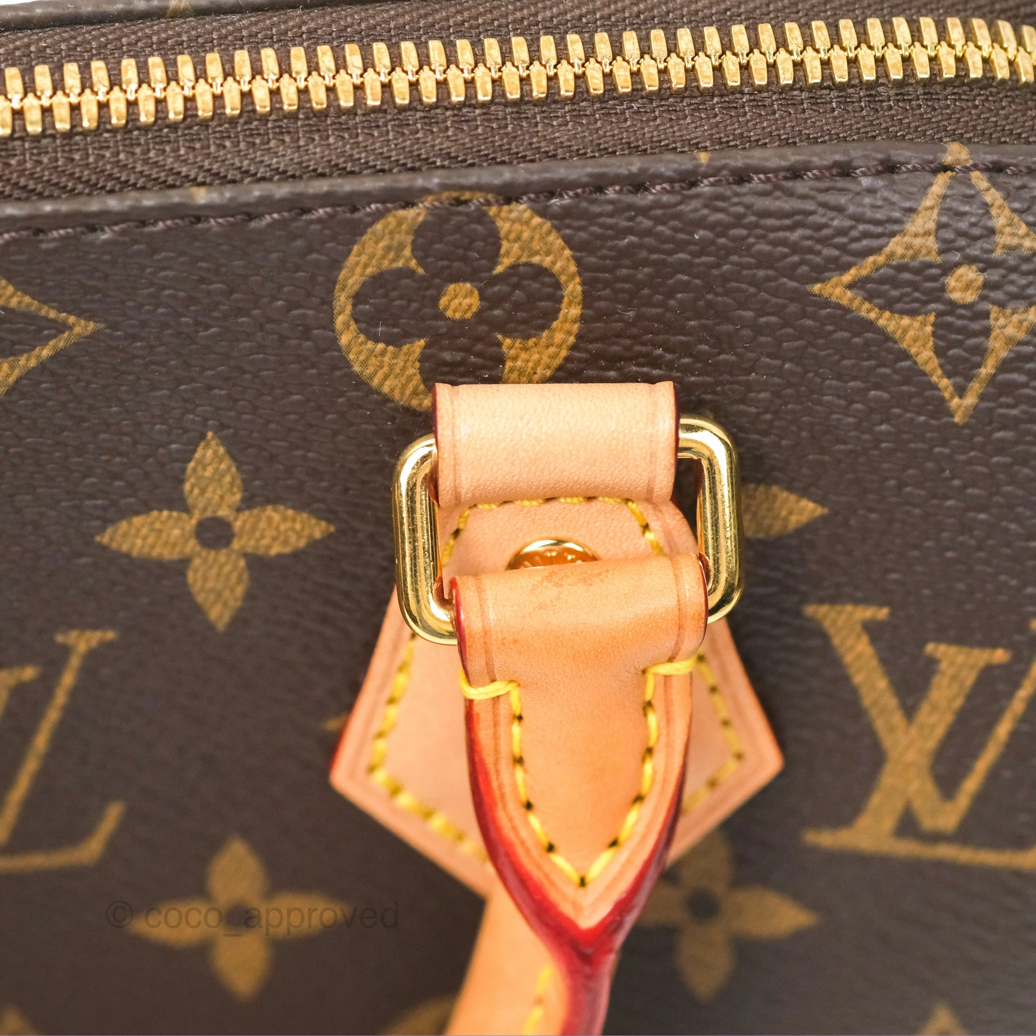 Louis Vuitton Speedy Bandoulire 20 Monogram