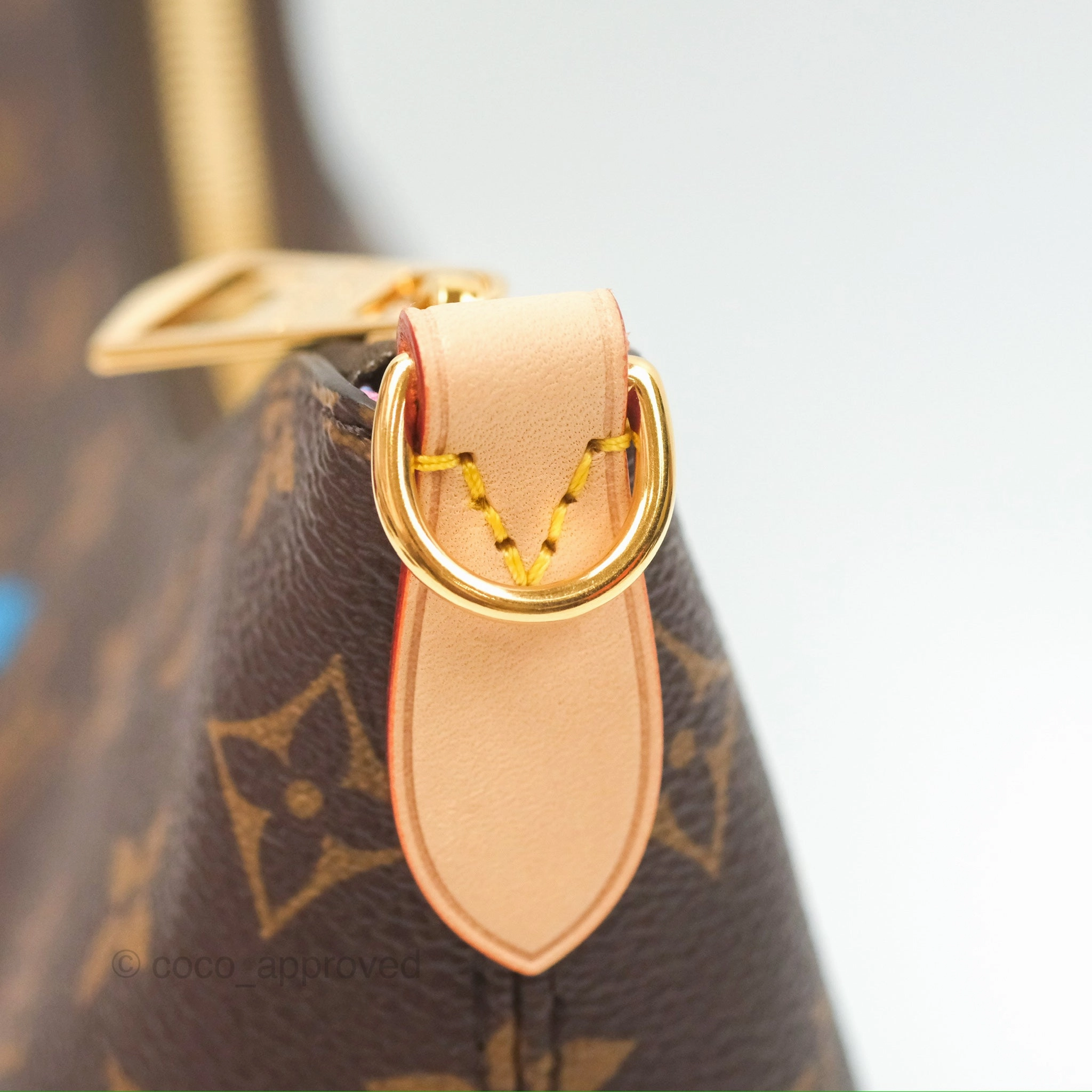 Louis Vuitton x Yayoi Kusama Boulogne Monogram Canvas